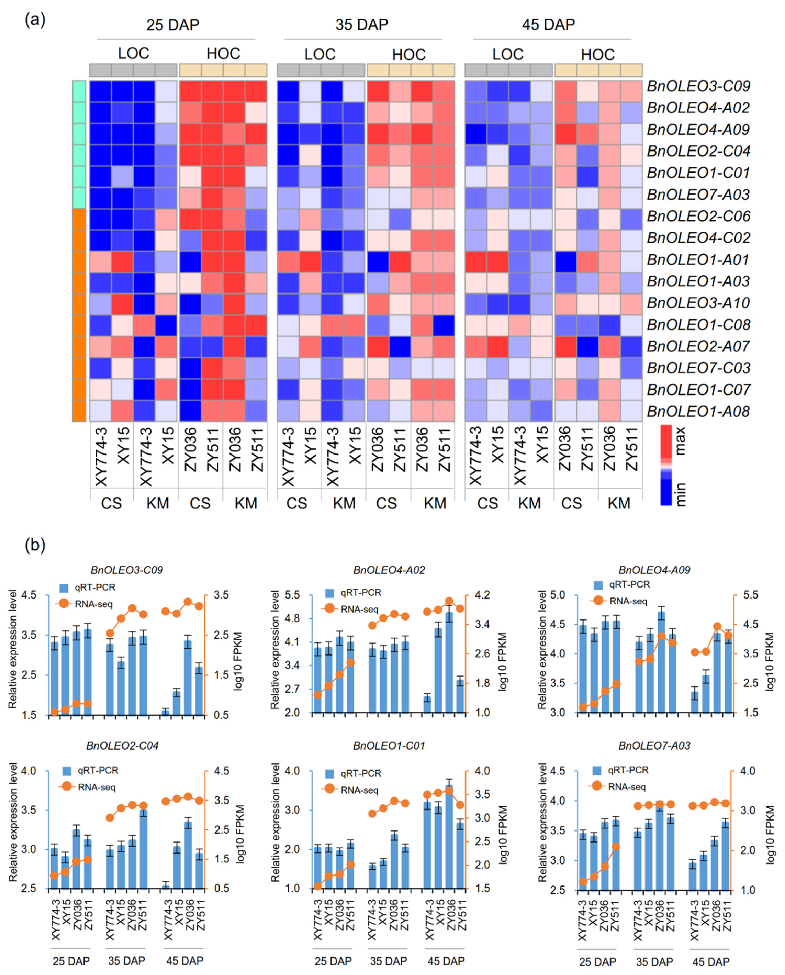 Plants 11 03140 g003