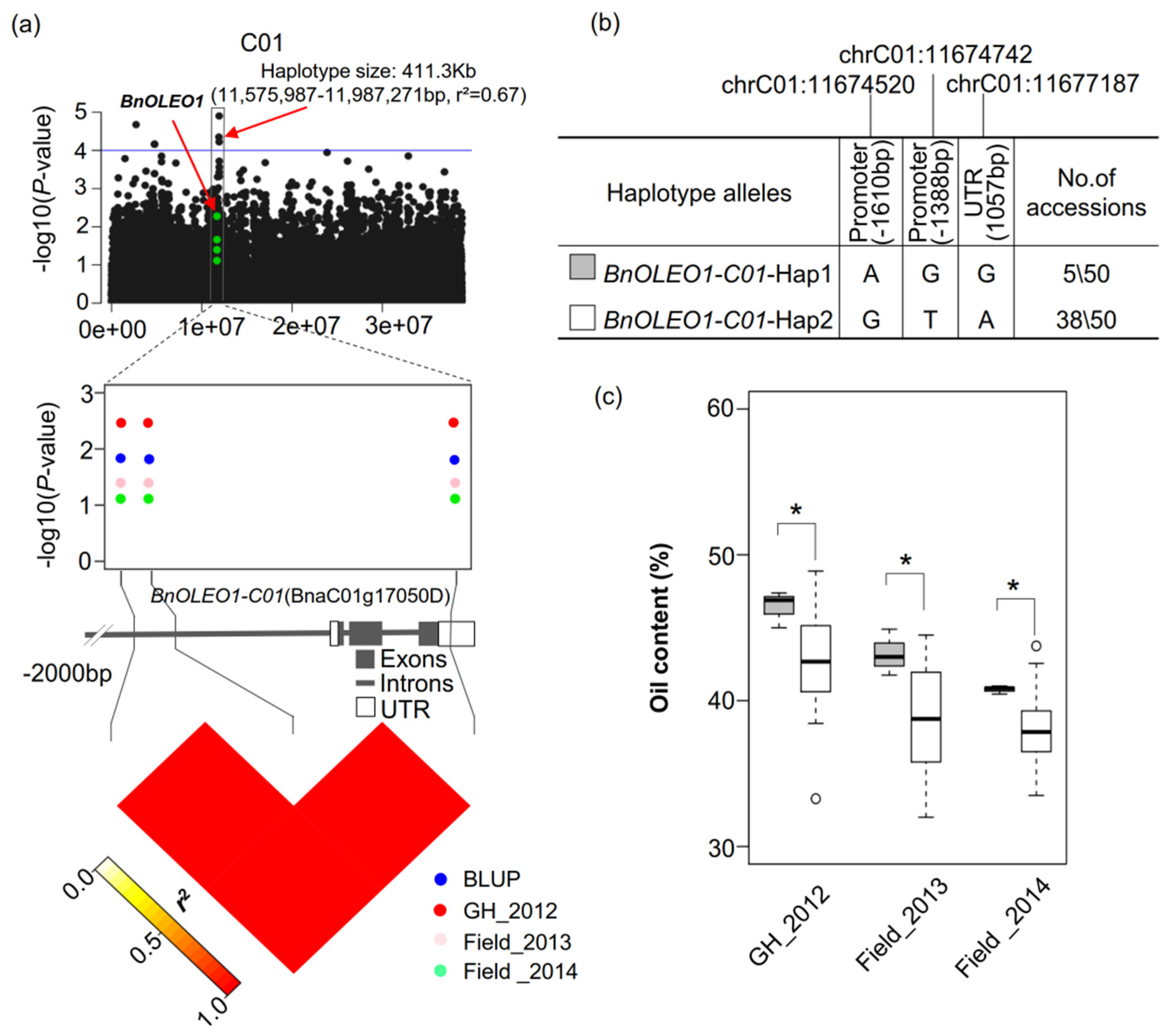 Plants 11 03140 g004