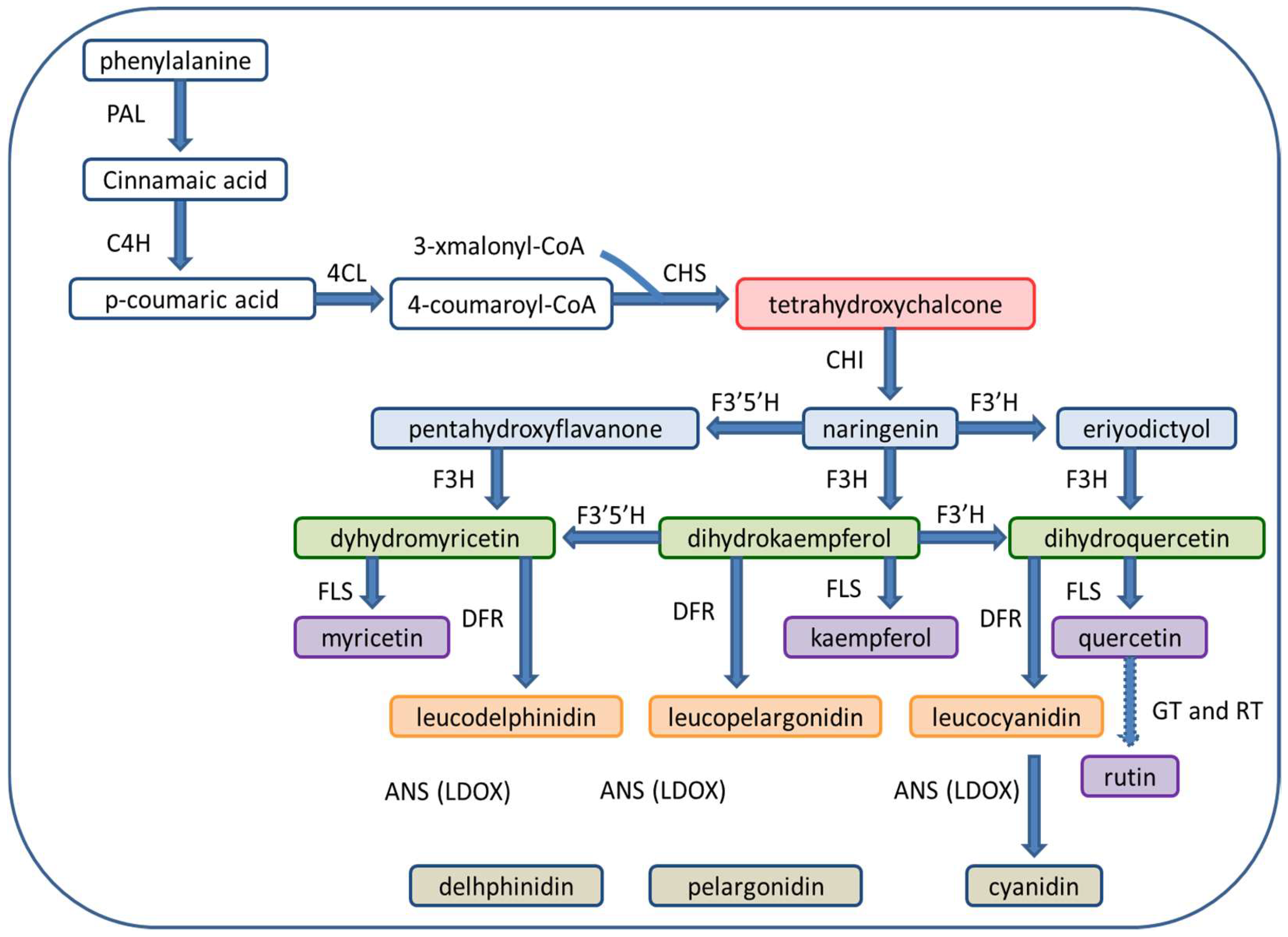 Plants 11 03158 g002 Plants 11 03158 g002