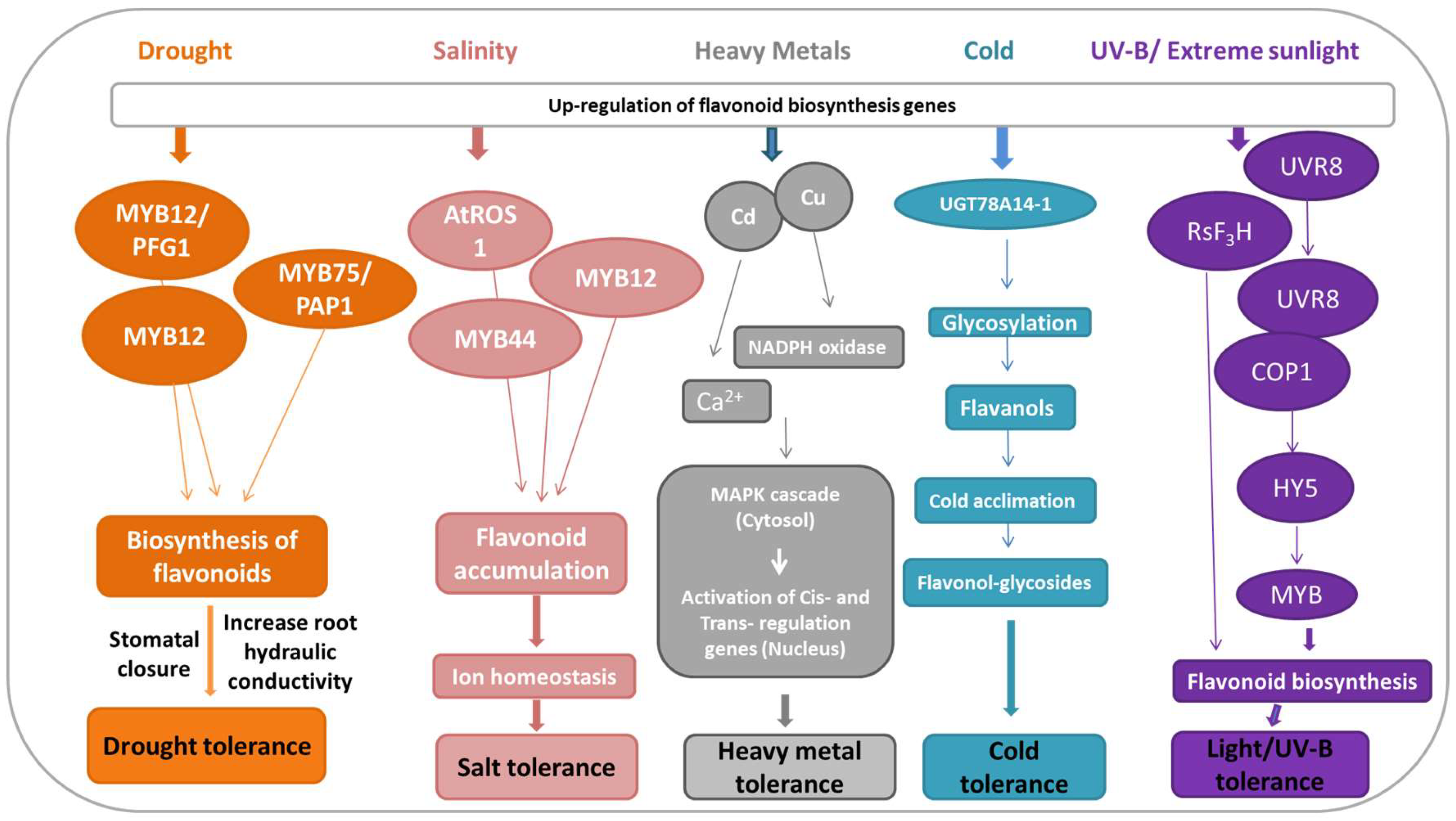 Plants 11 03158 g005 Plants 11 03158 g005