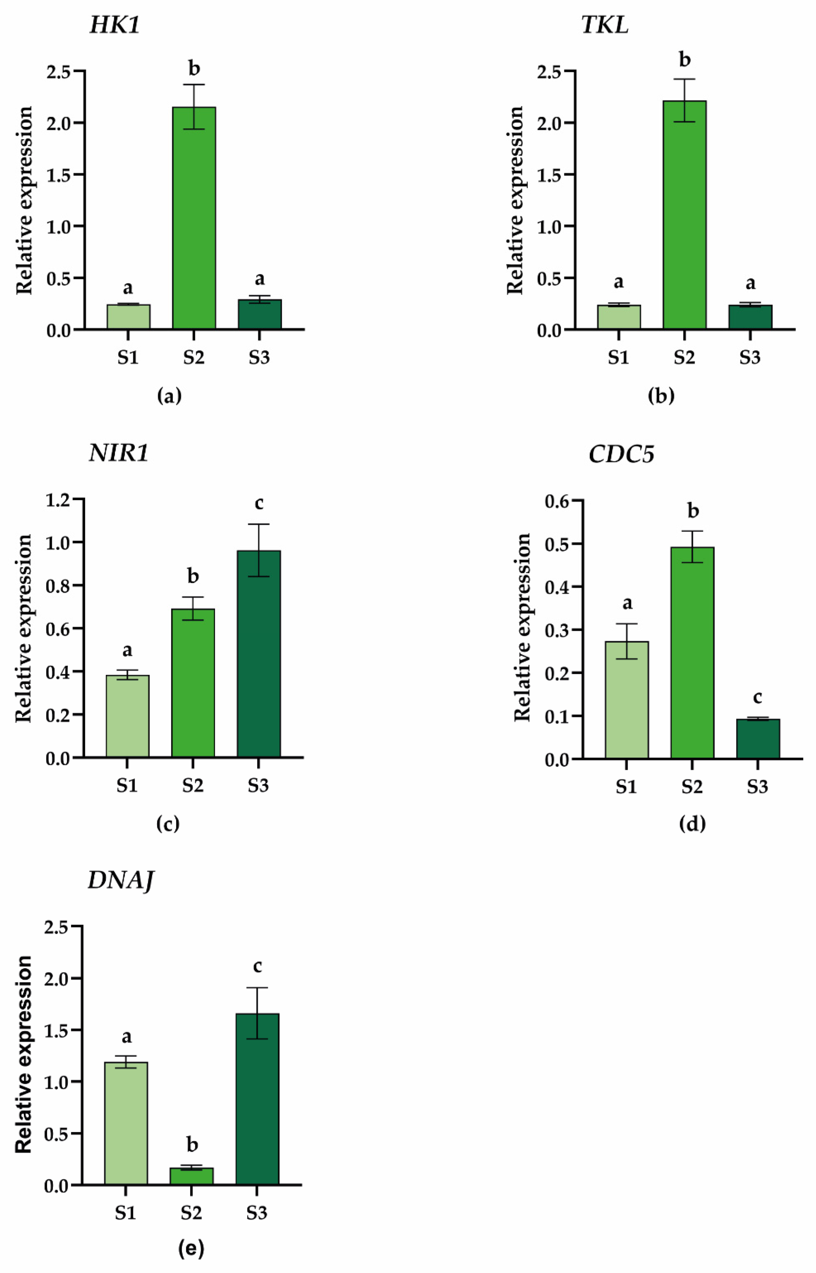 Plants 11 03176 g007 Plants 11 03176 g007