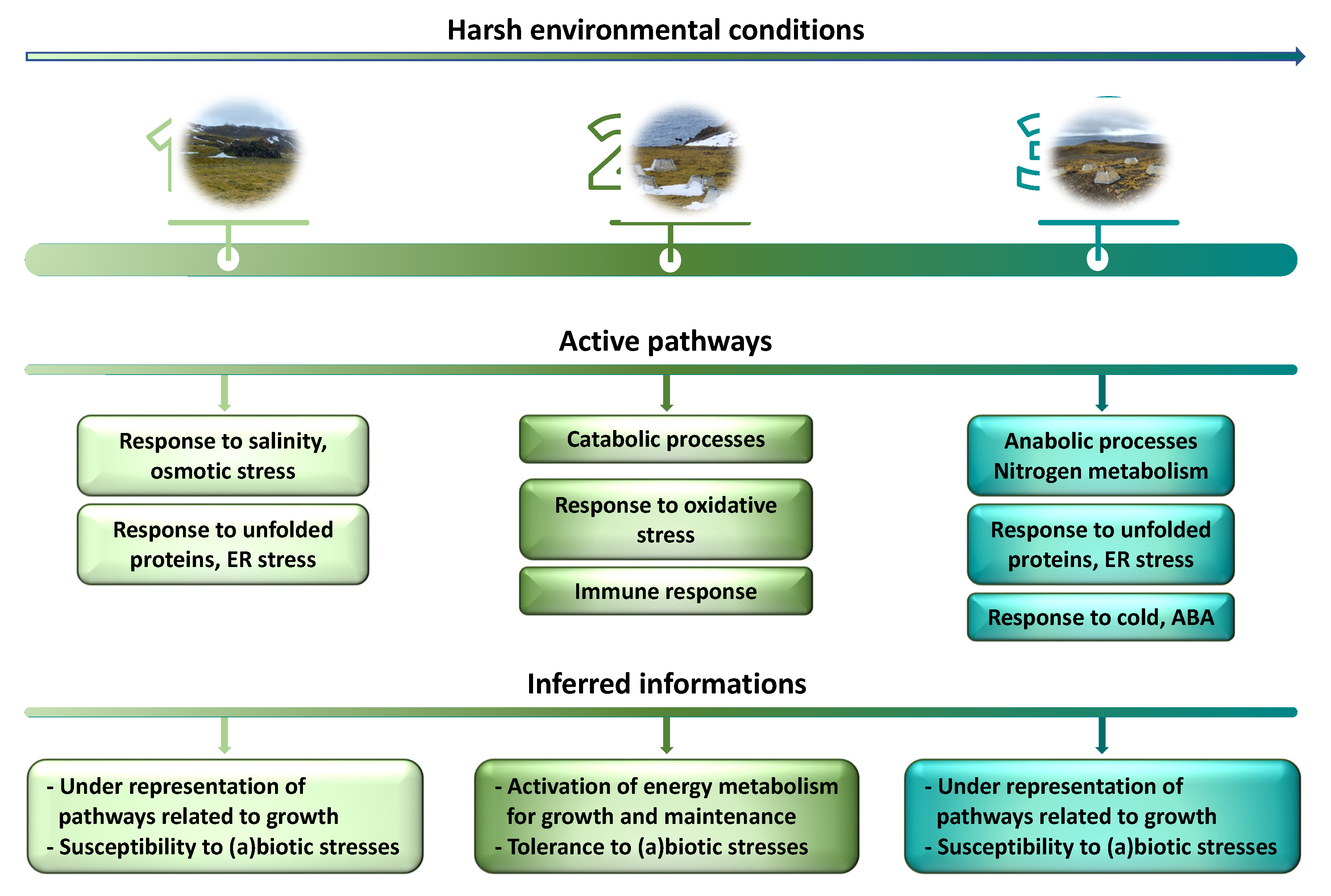 Plants 11 03176 g008 Plants 11 03176 g008