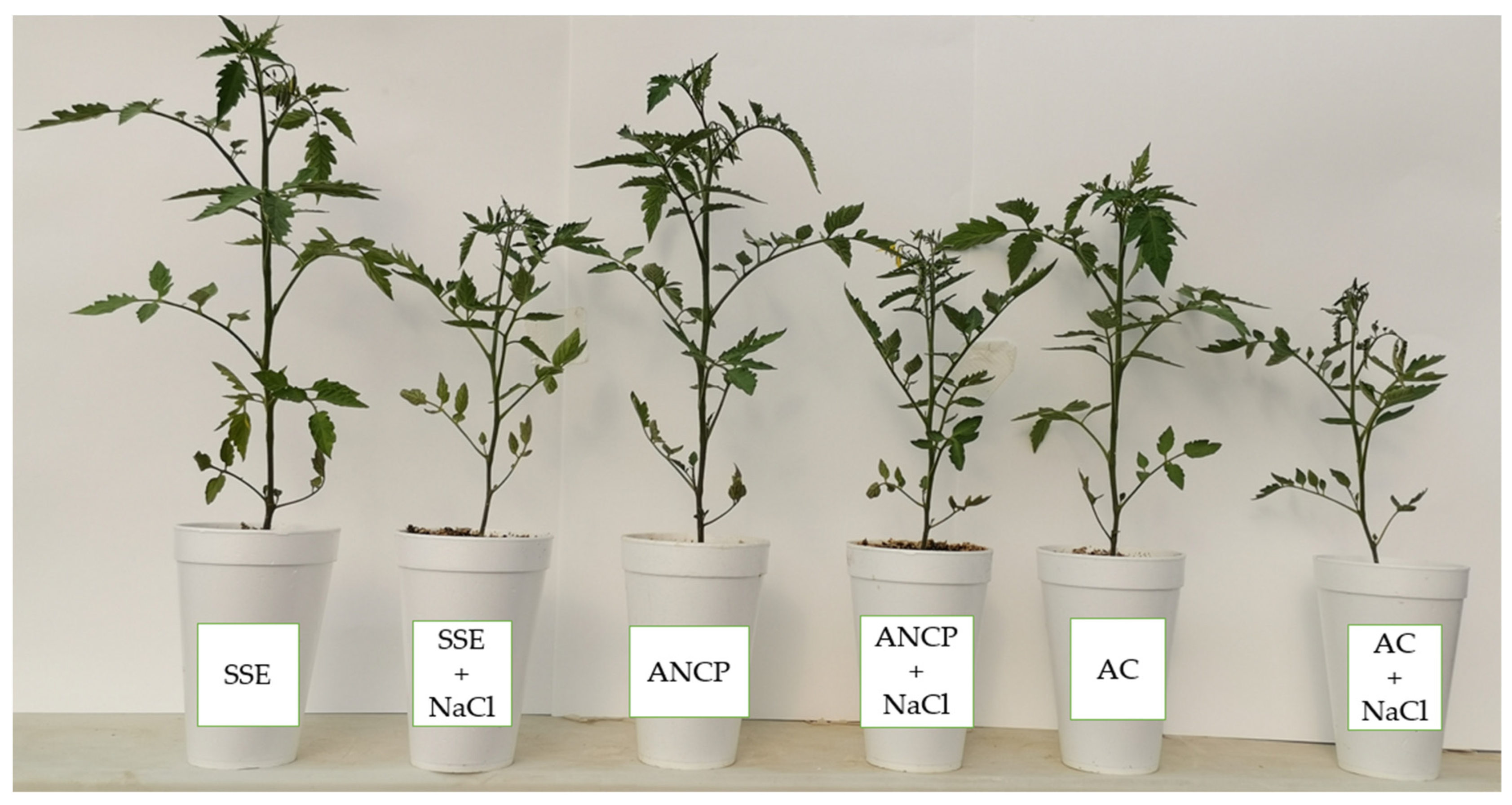 Plants Free Full Text The Biostimulant Effect of