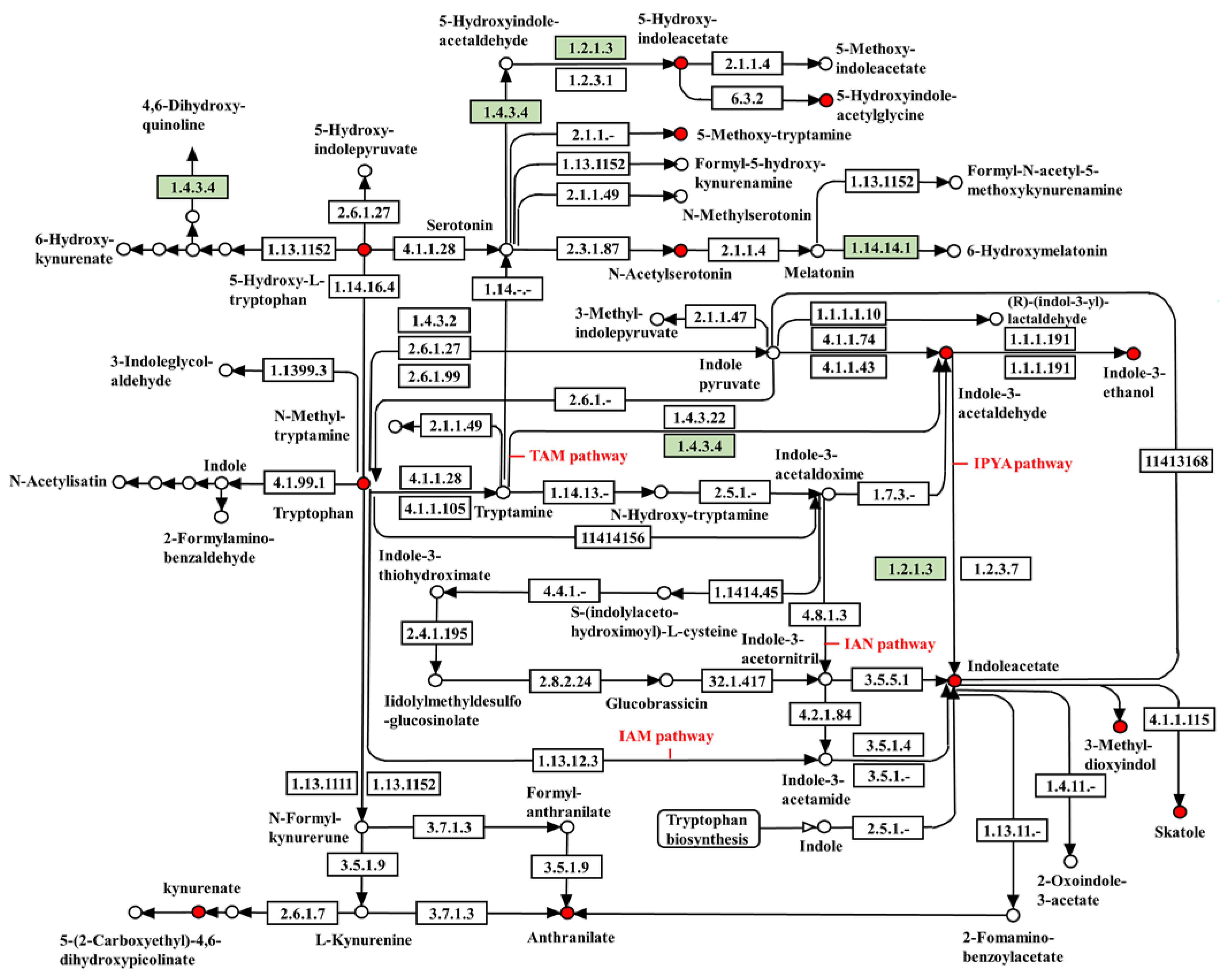 Plants 11 03205 g004