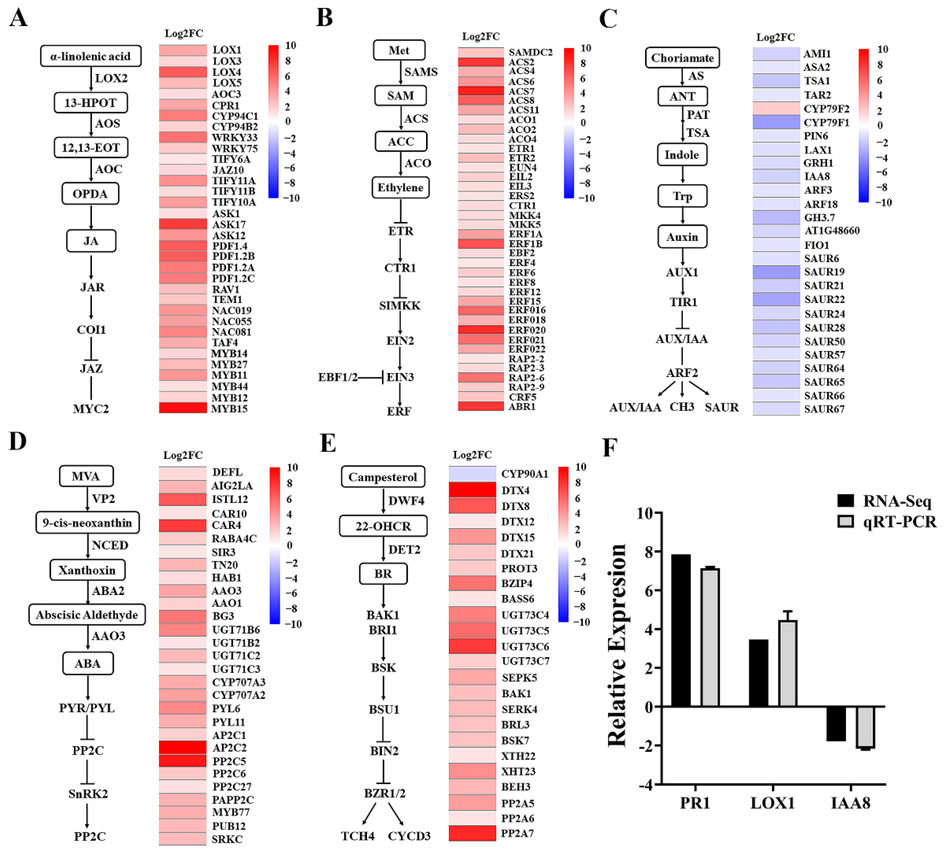 Plants 11 03205 g006