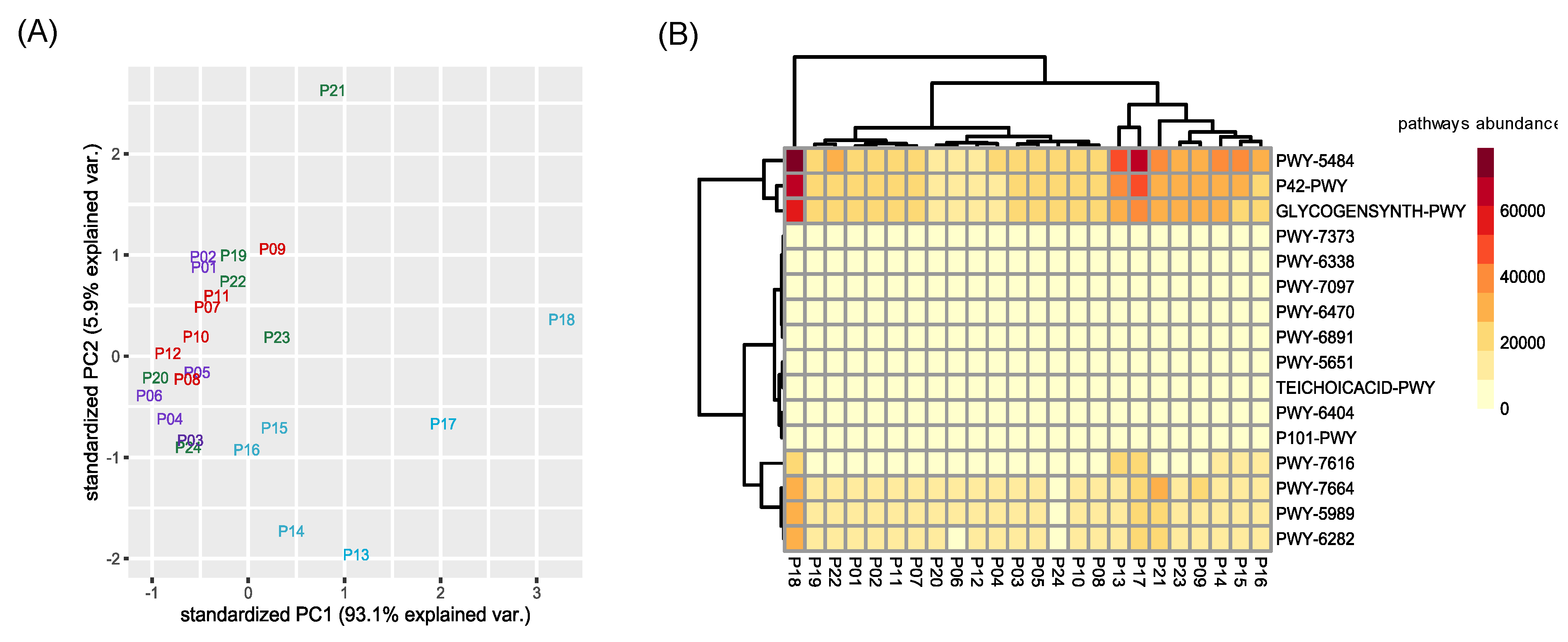 Plants 11 03210 g005 Plants 11 03210 g005