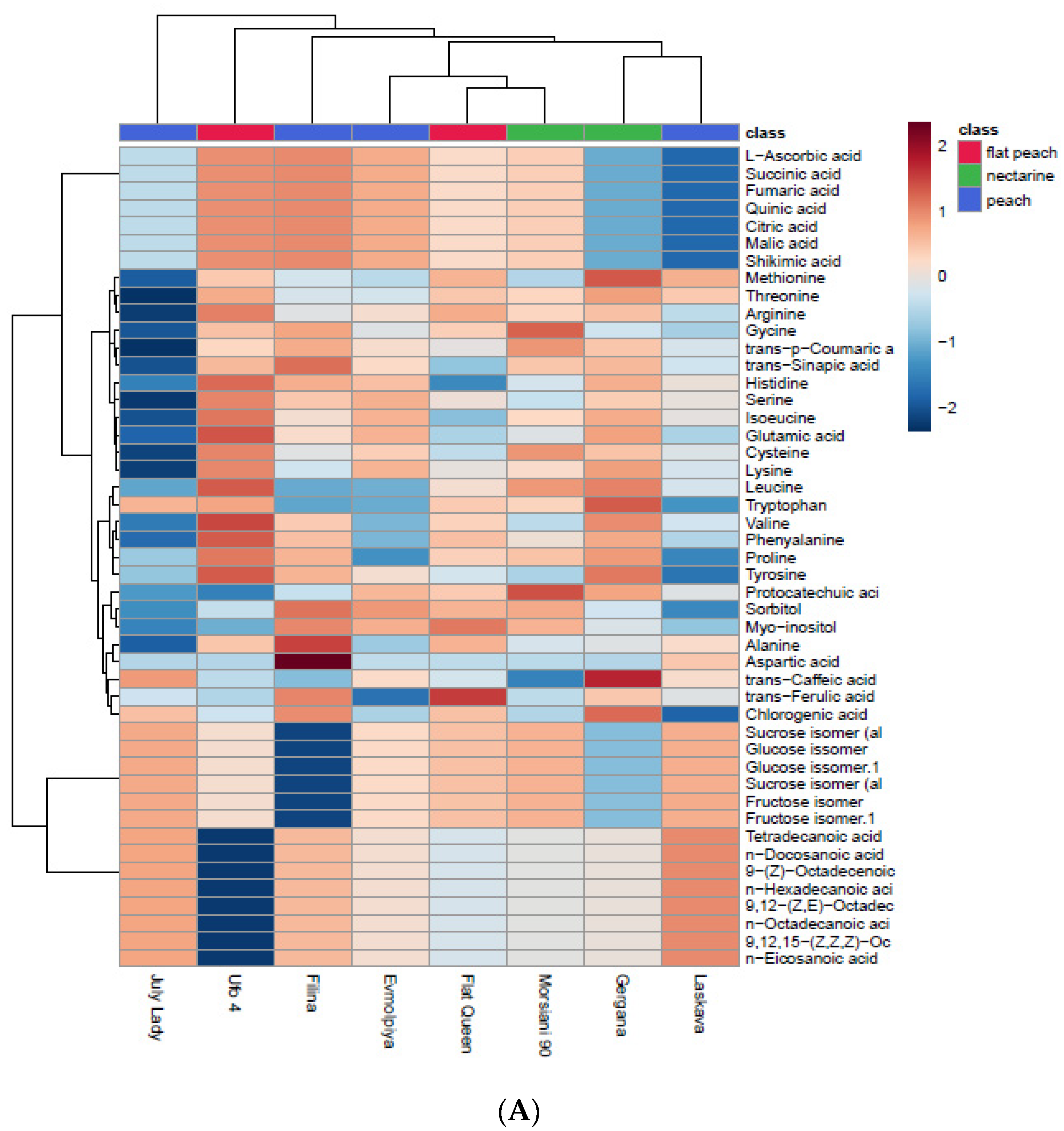 Plants 11 03219 g003a Plants 11 03219 g003a