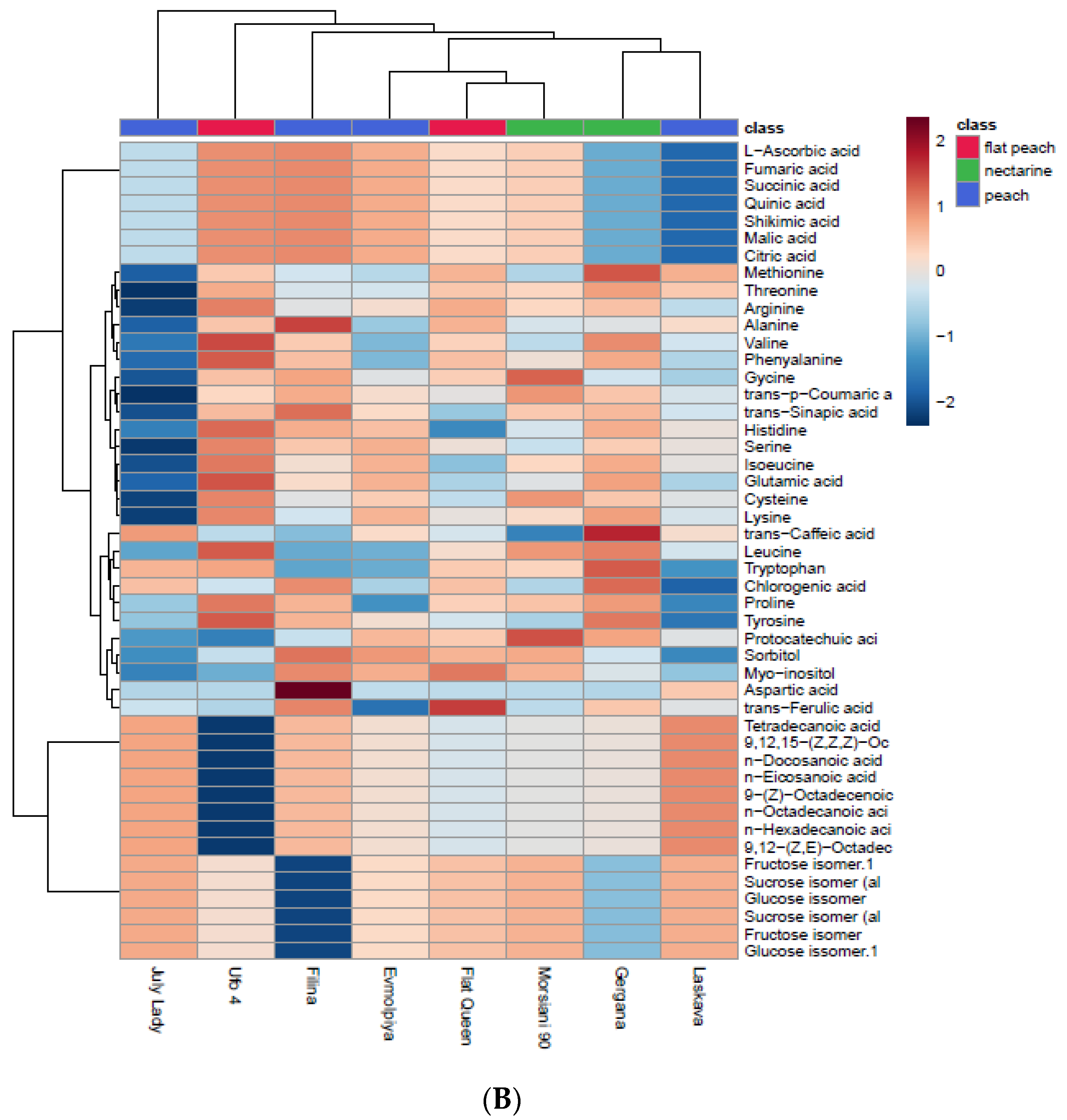Plants 11 03219 g003b Plants 11 03219 g003b