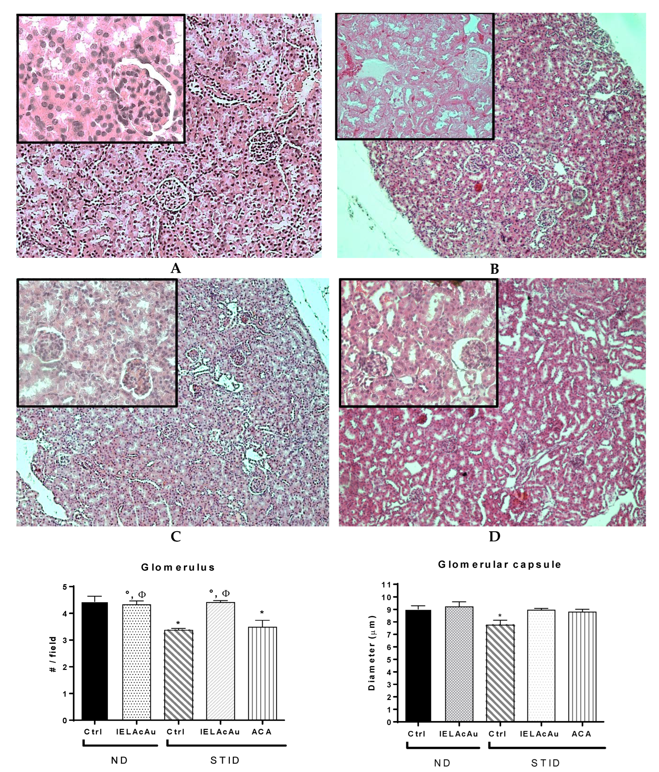 Plants 11 03224 g004a