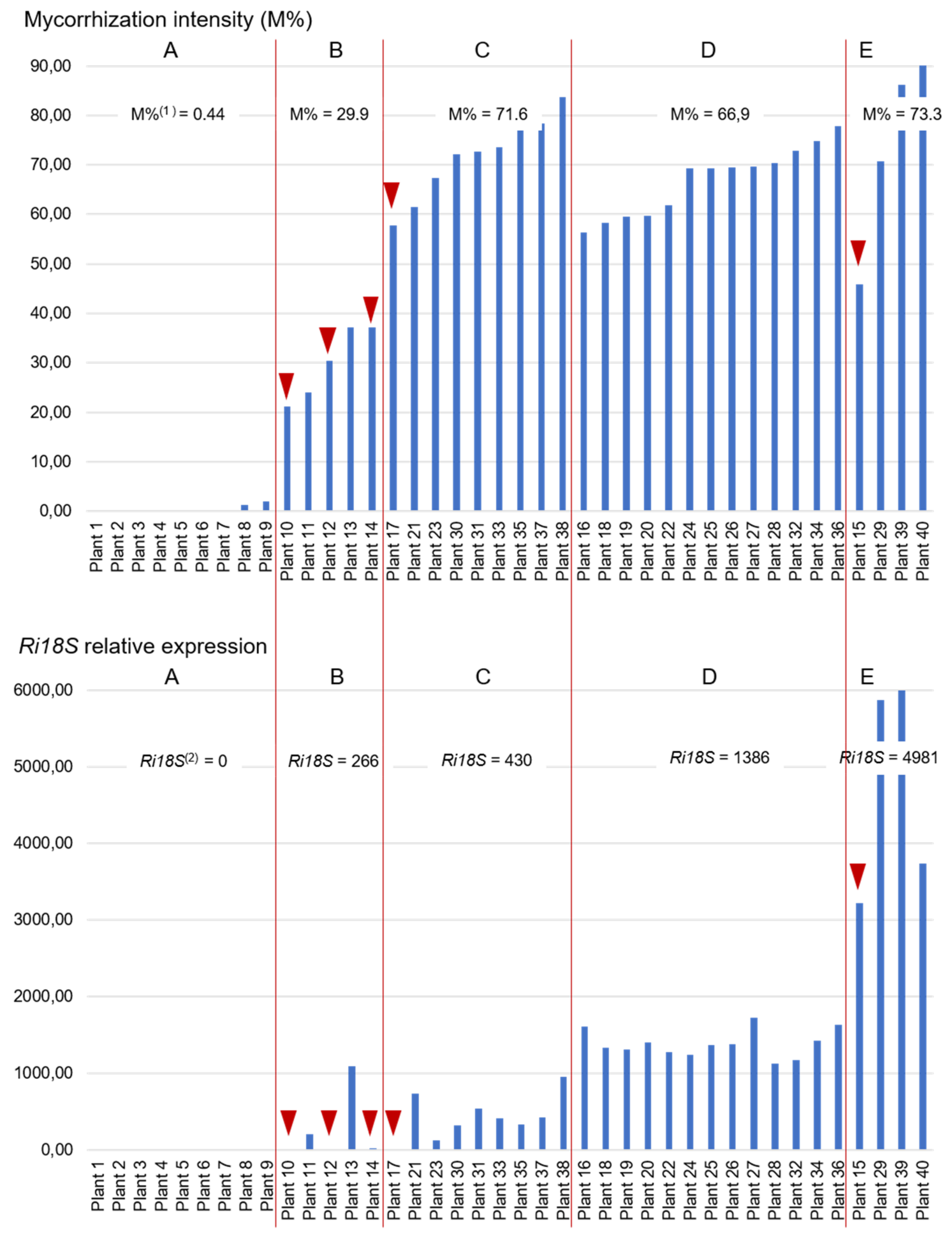 Plants 11 03237 g001 Plants 11 03237 g001