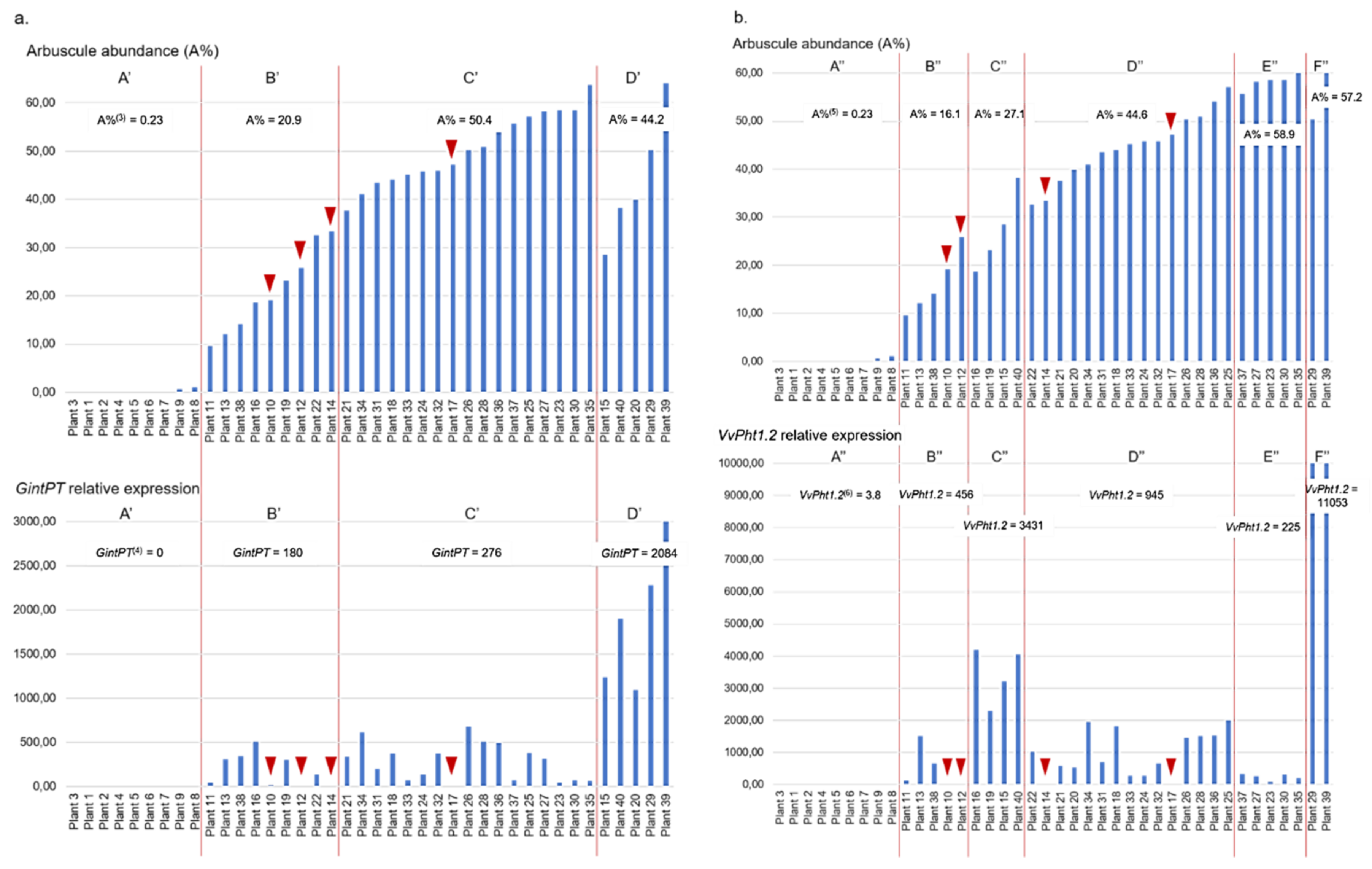 Plants 11 03237 g002 Plants 11 03237 g002