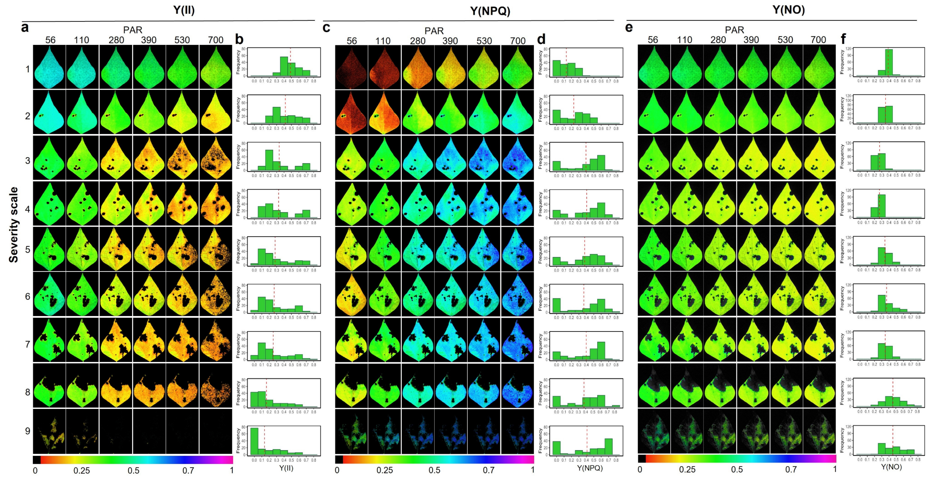 Plants 11 03238 g003 Plants 11 03238 g003