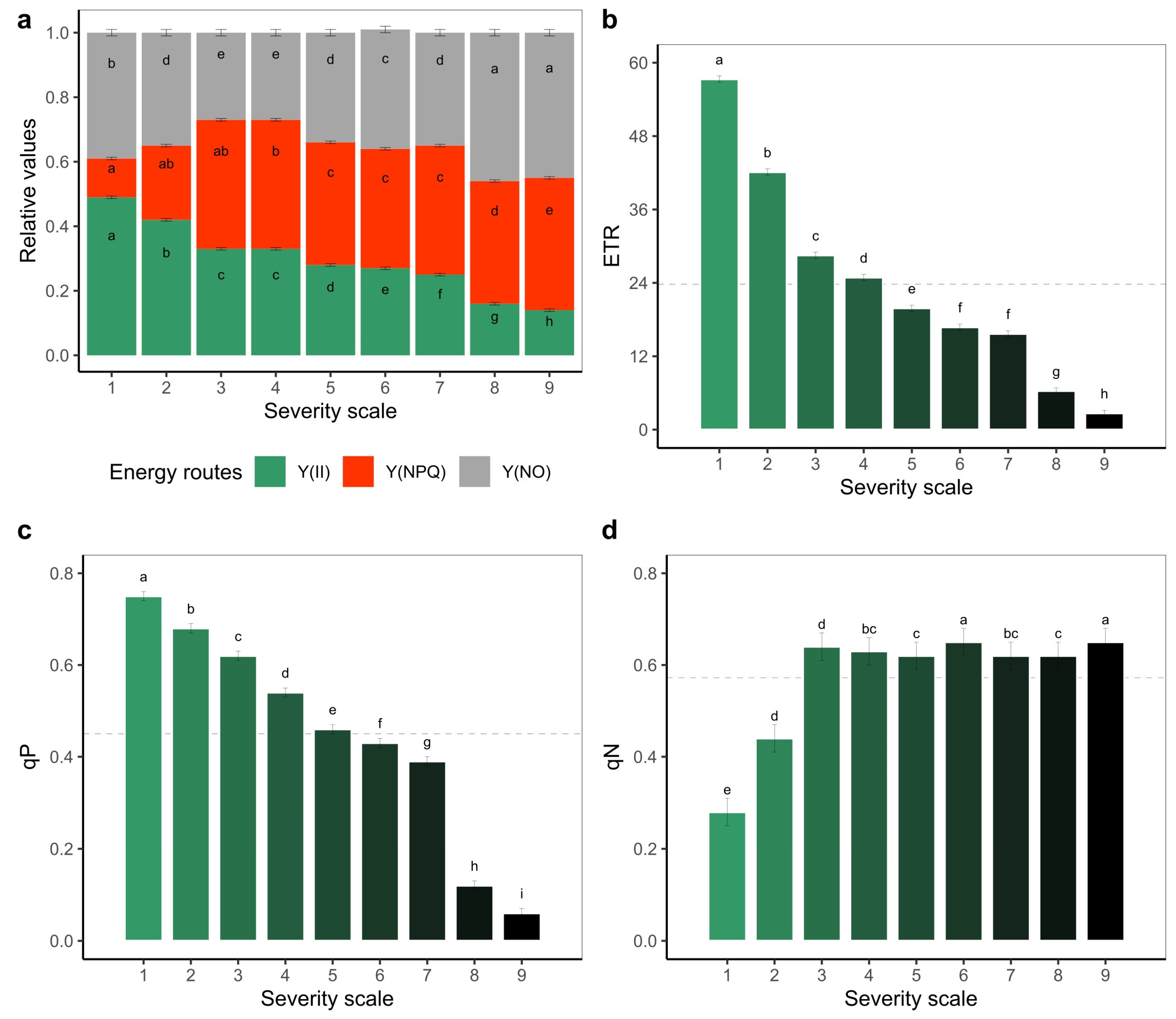 Plants 11 03238 g004 Plants 11 03238 g004