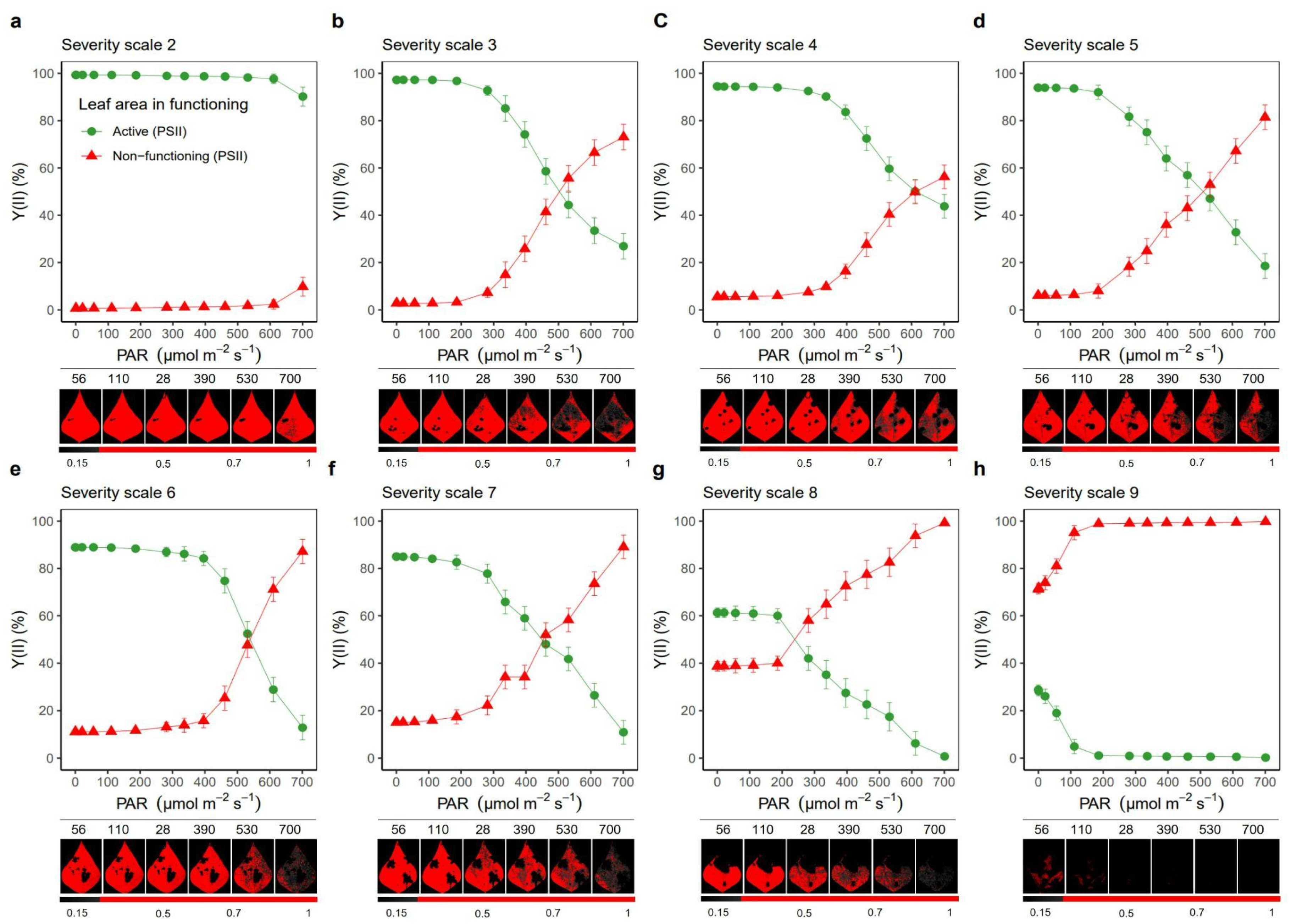 Plants 11 03238 g006 Plants 11 03238 g006