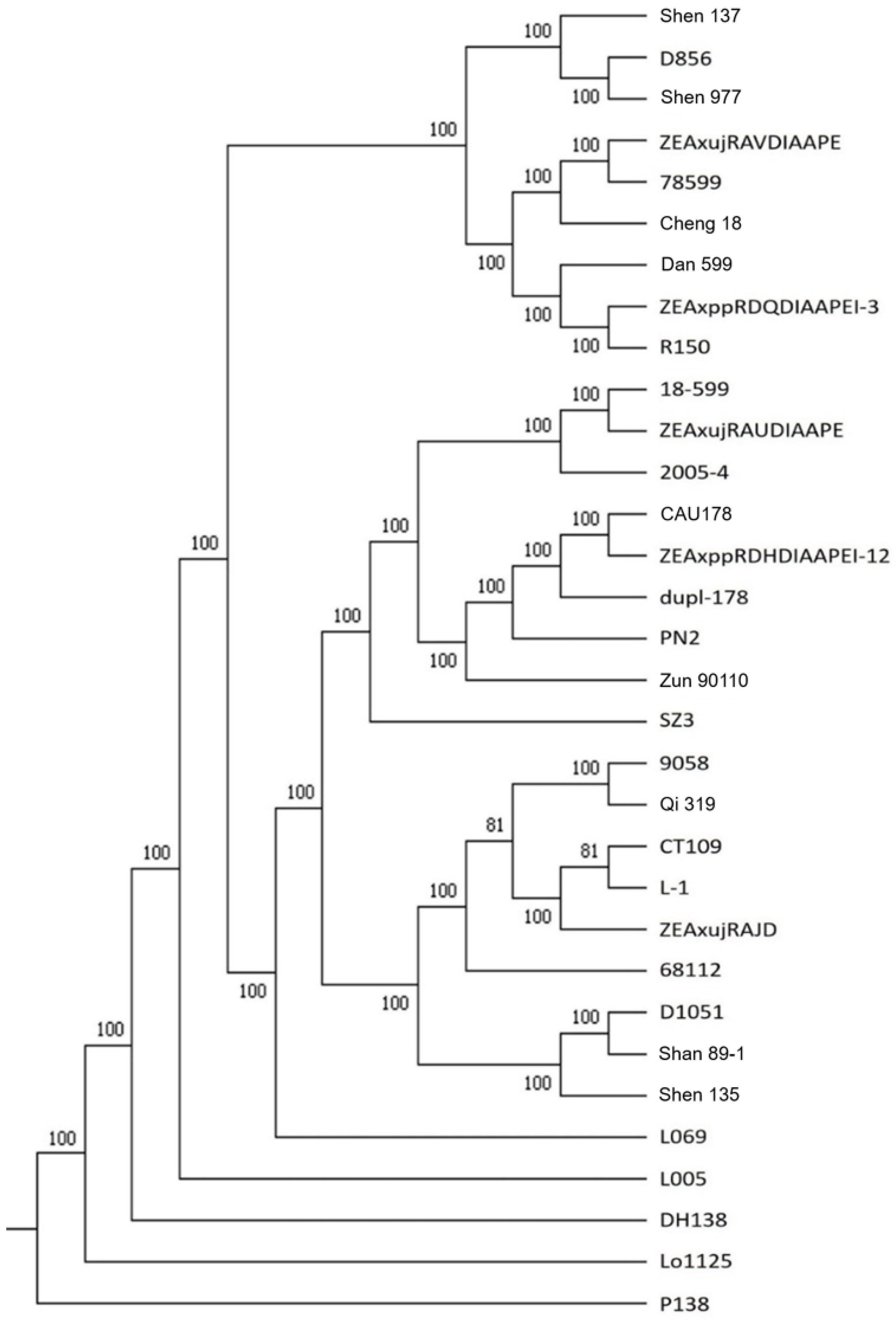 Plants 11 03242 g002