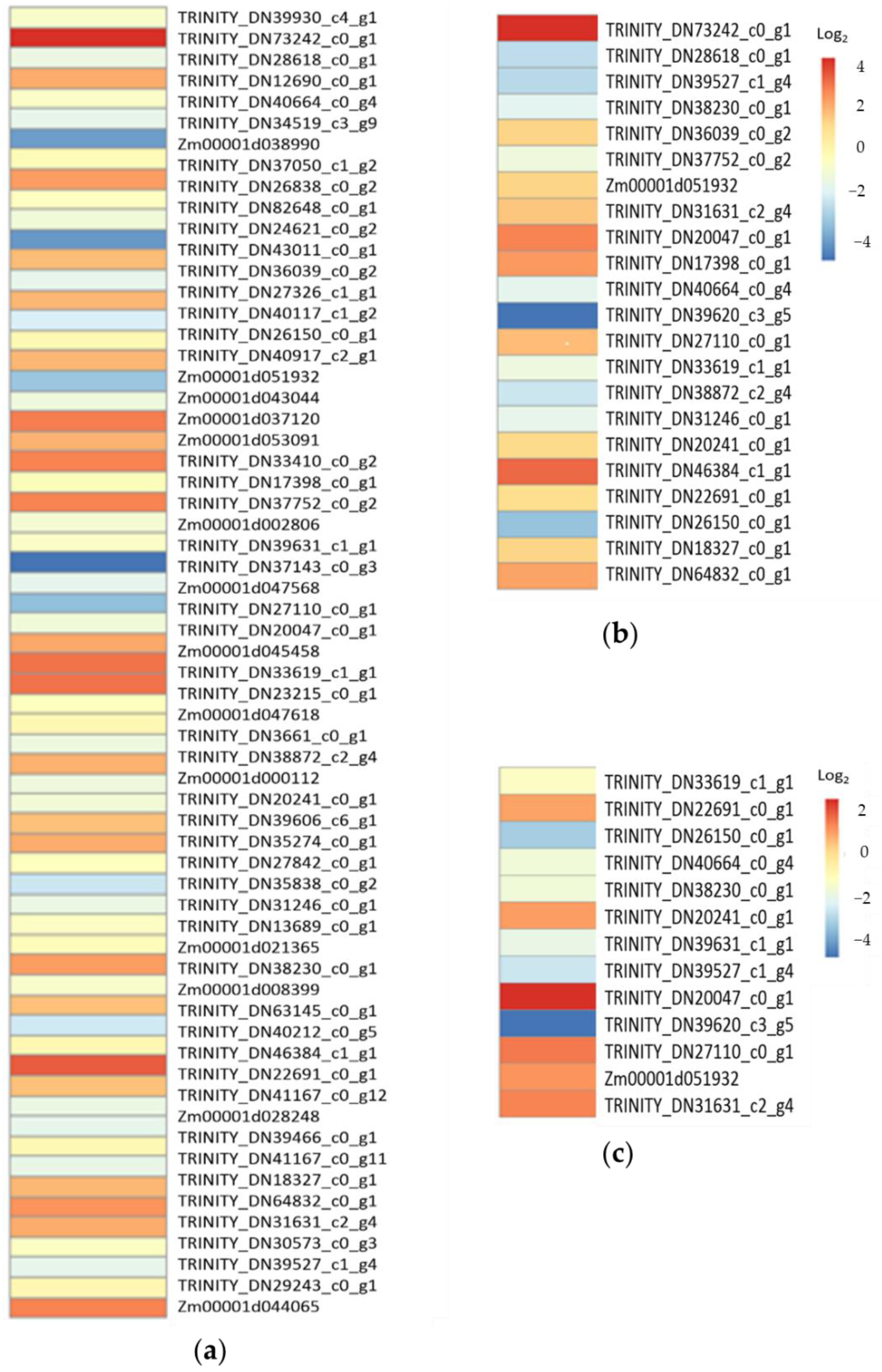 Plants 11 03242 g005