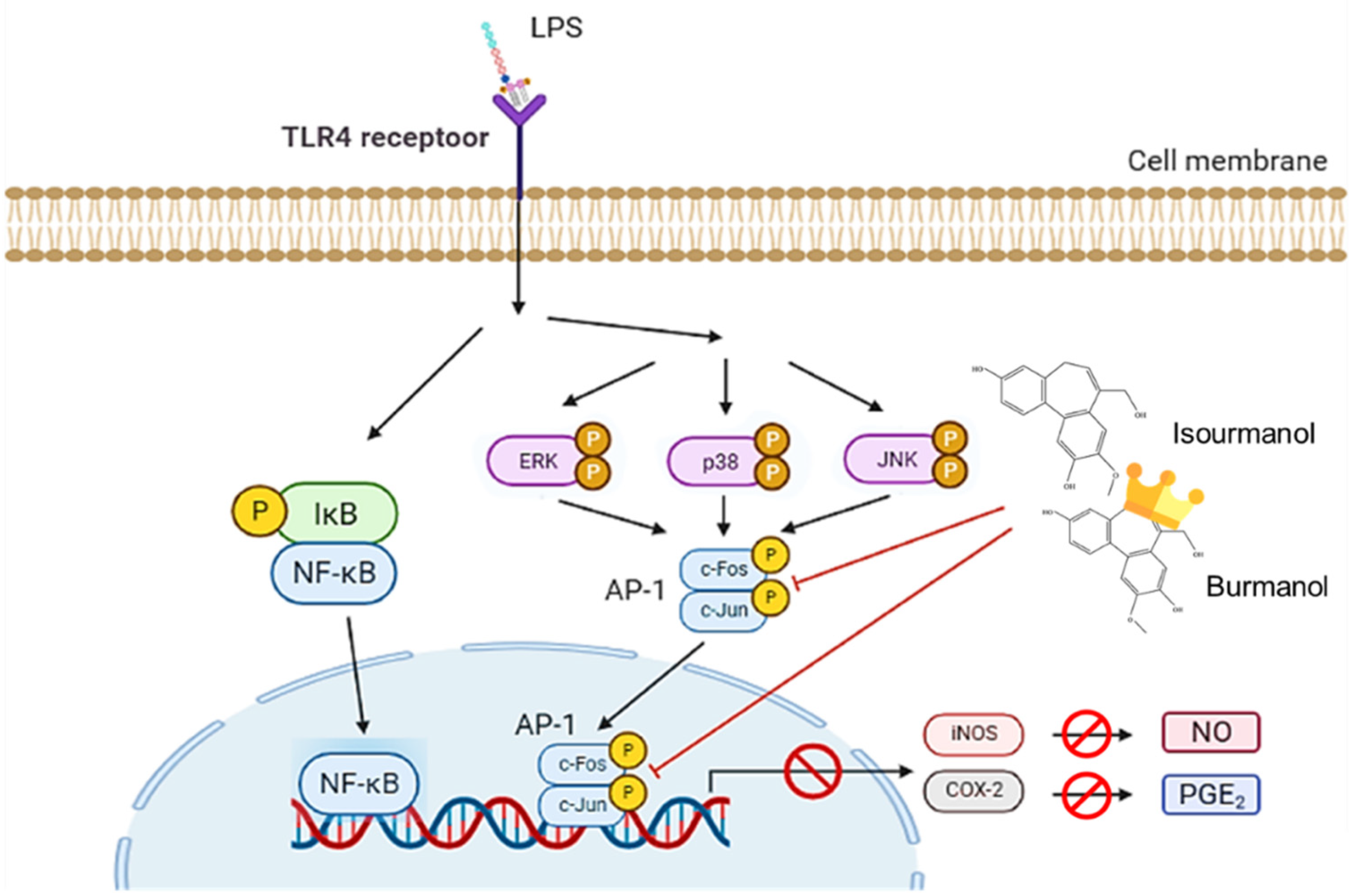 Plants 11 03252 g012