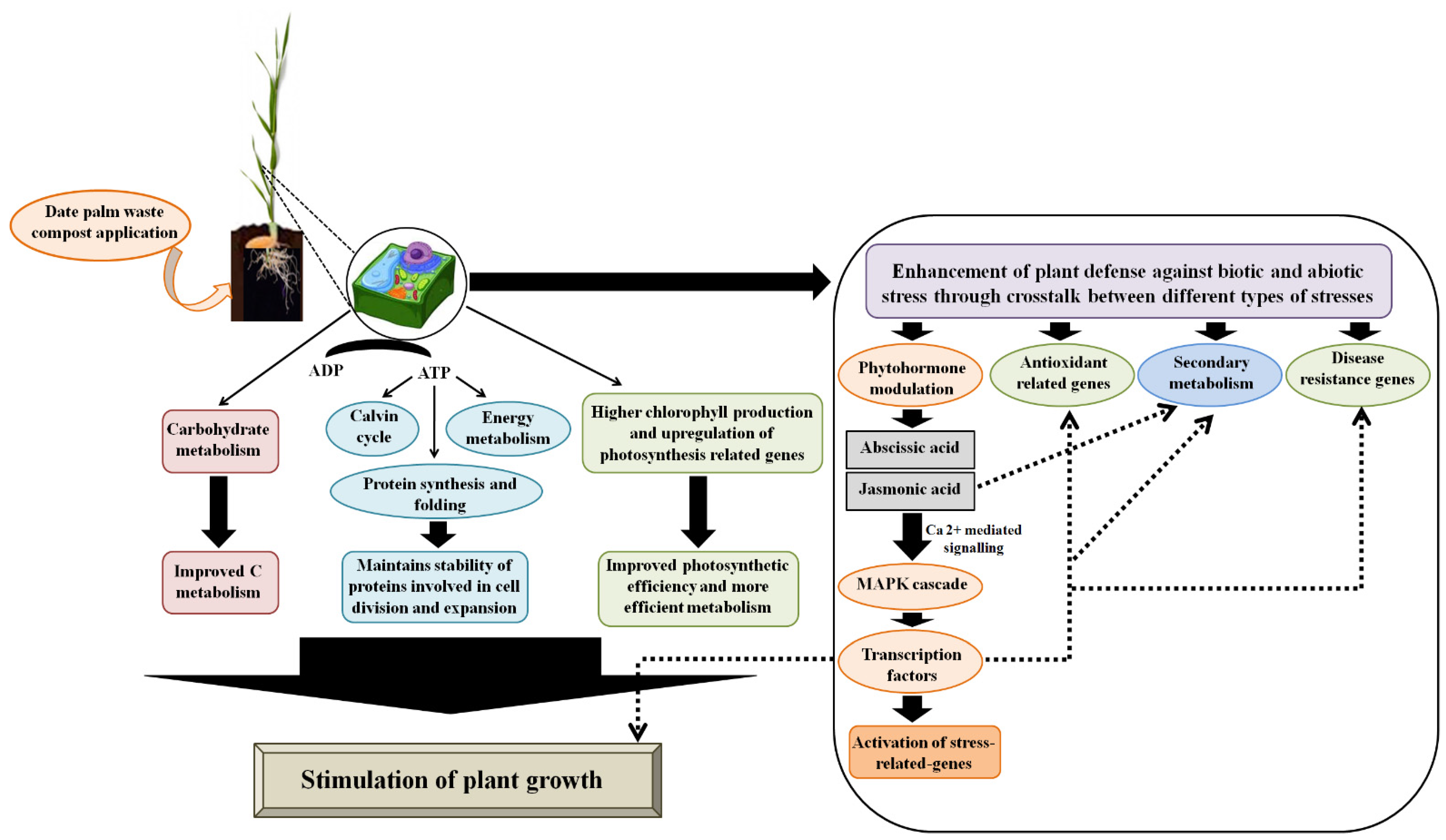 Proteome Analysis of Metabolic Proteins (pI 4–7) in Barley (Hordeum  vulgare) Malts and Initial Application in Malt Quality Discrimination