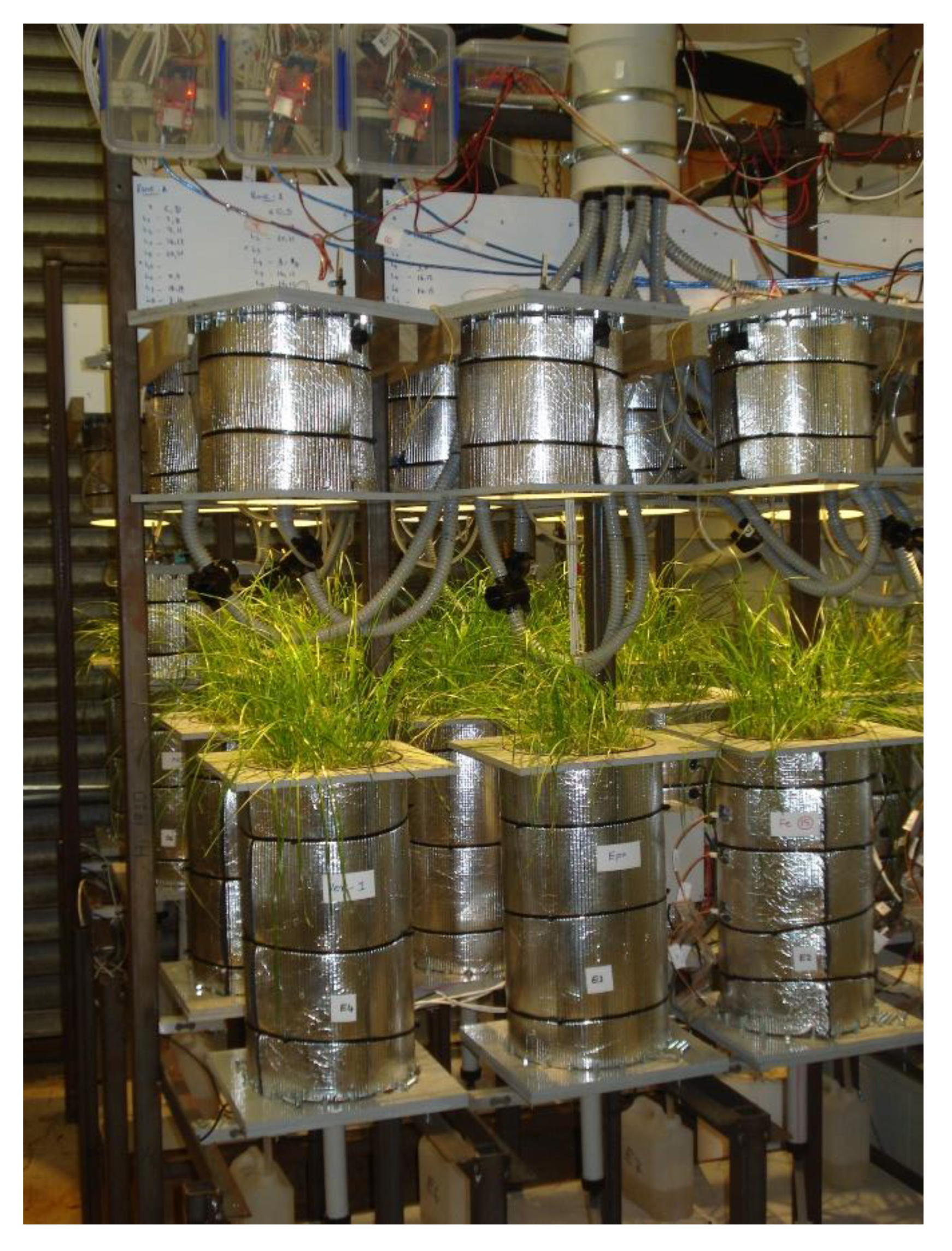 Plants 11 03288 g008 Plants 11 03288 g008