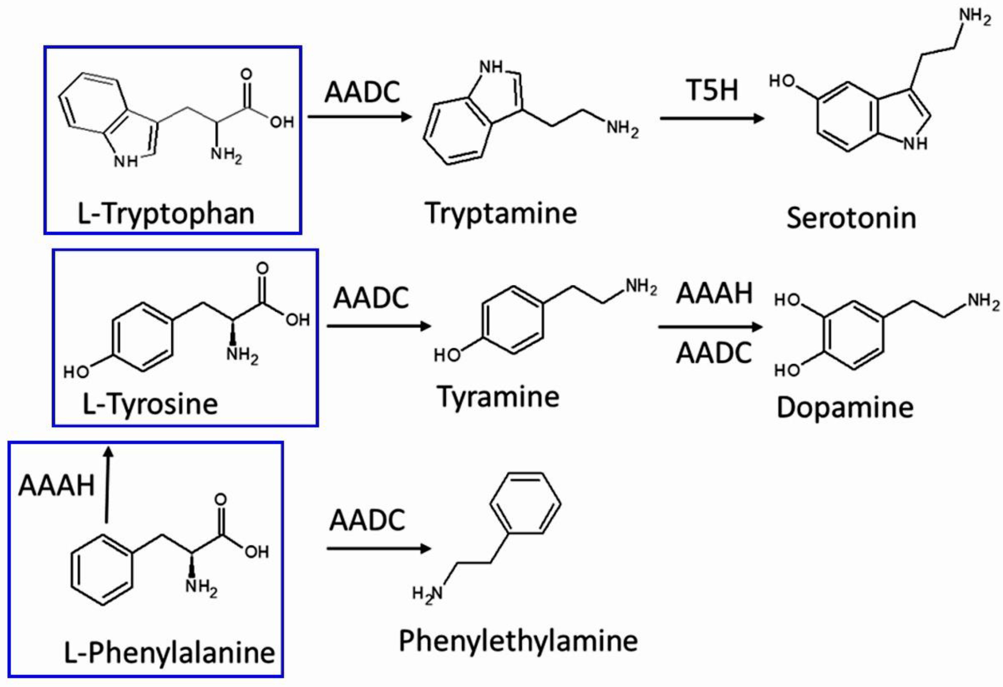 Plants 11 03290 g008 Plants 11 03290 g008