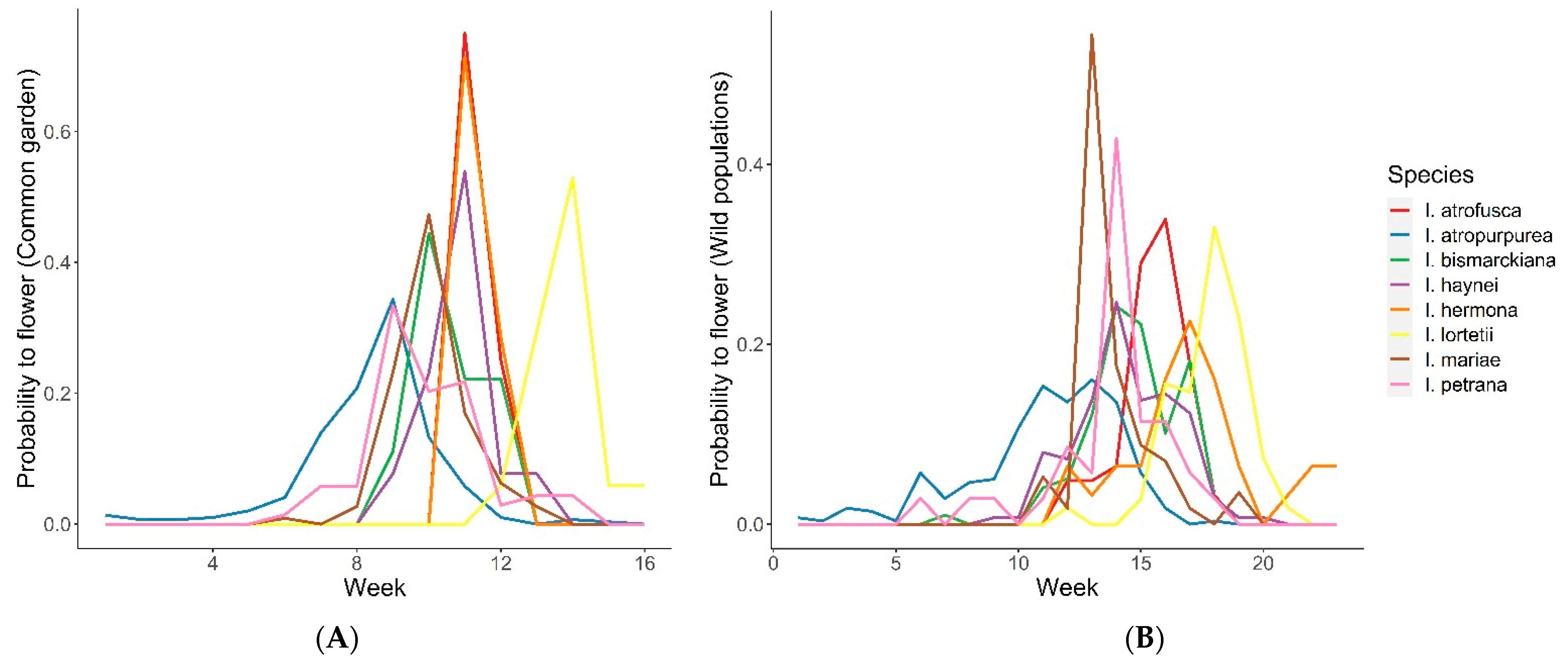 Plants 11 03306 g003 Plants 11 03306 g003