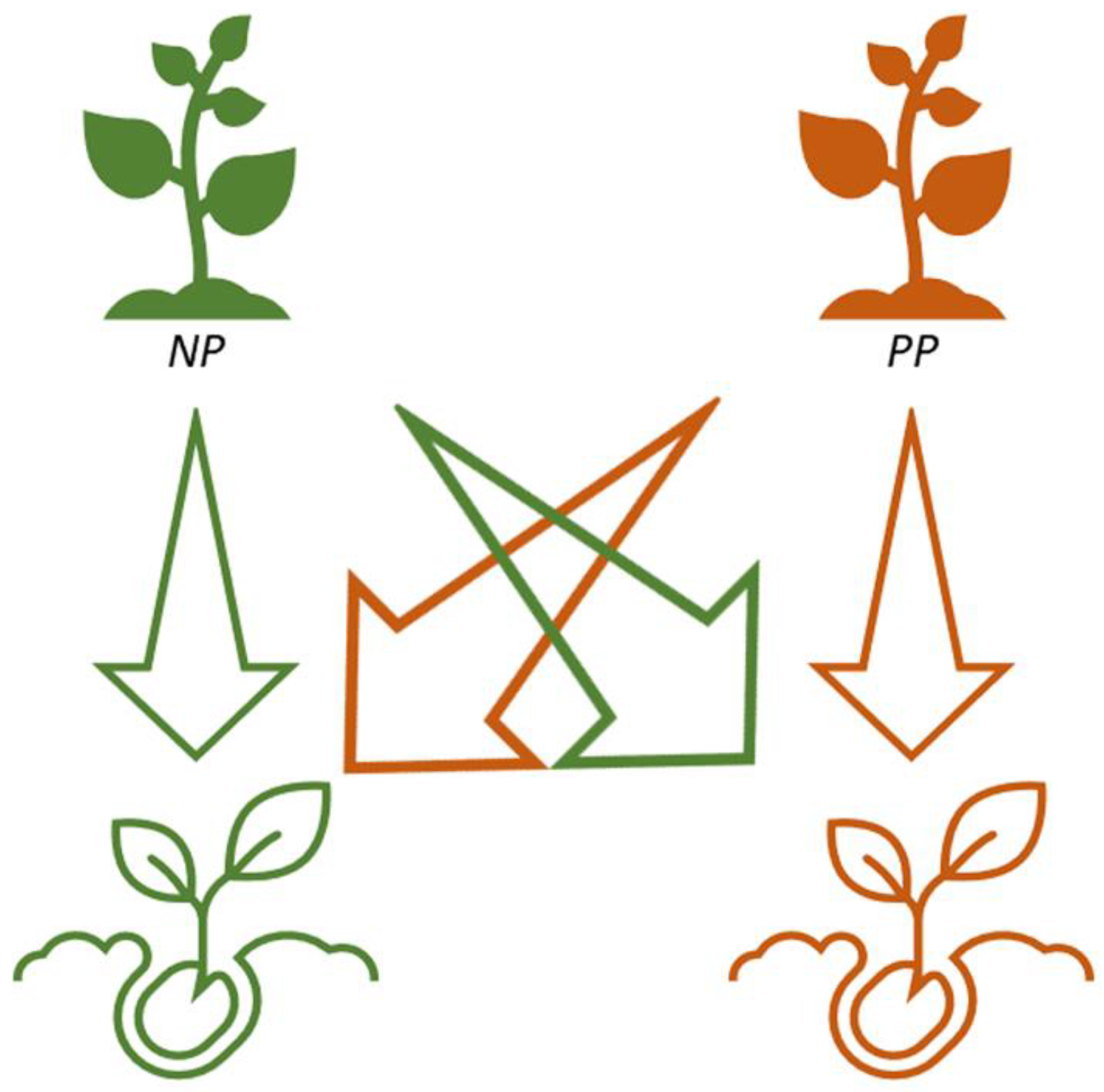 Plants 11 03315 g006 Plants 11 03315 g006