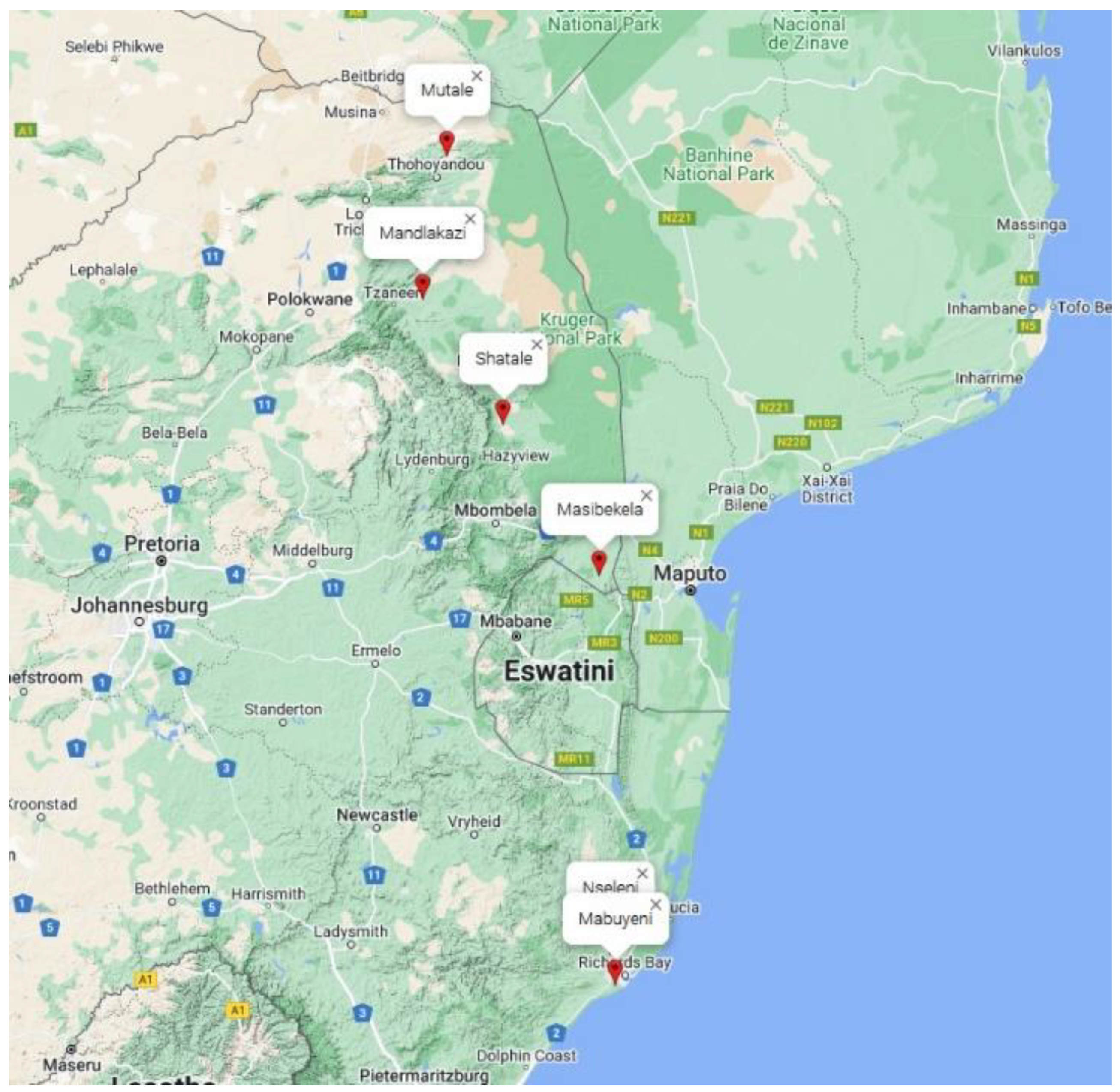 Plants 11 03339 g002