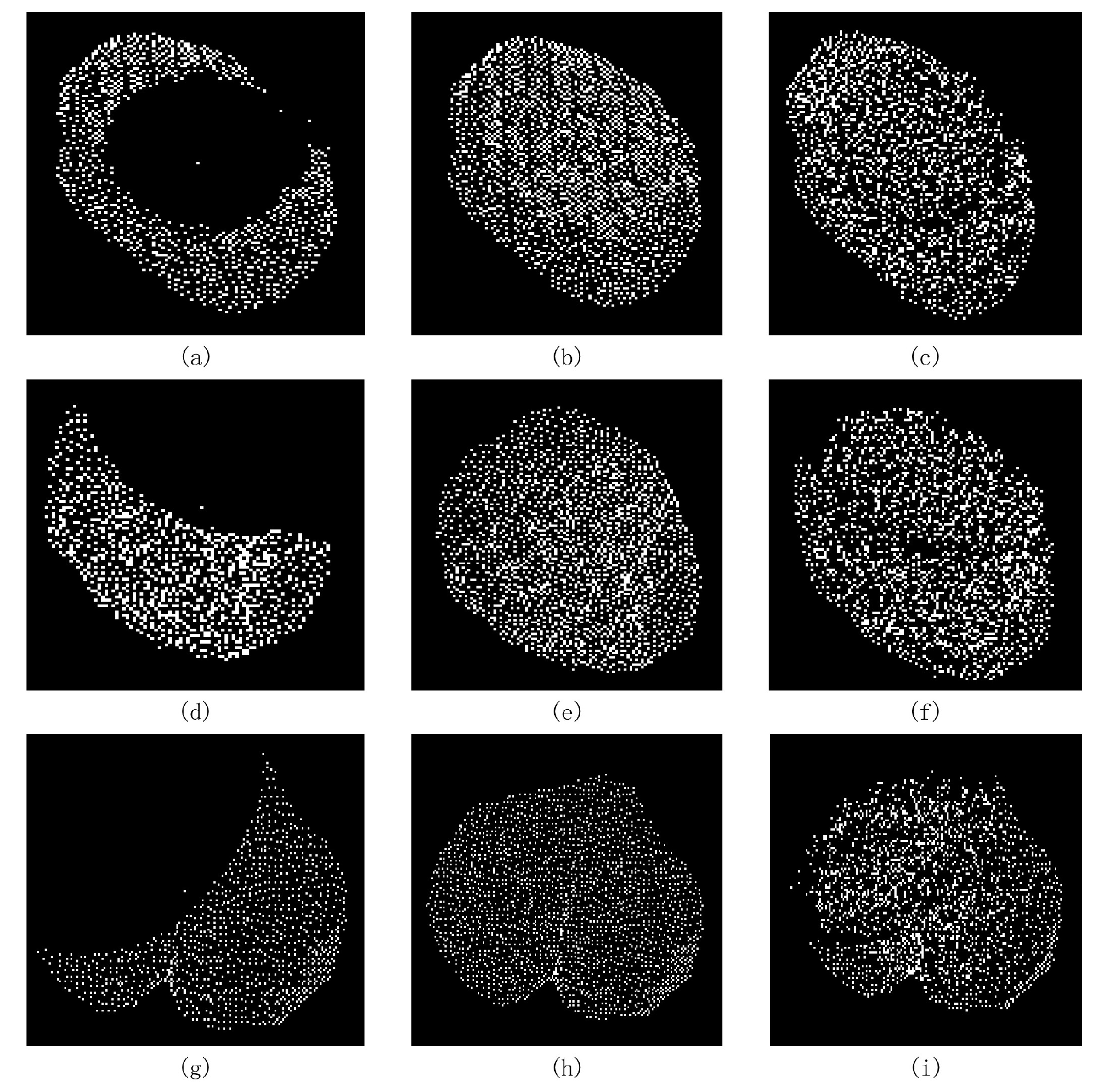 Plants 11 03342 g008 Plants 11 03342 g008