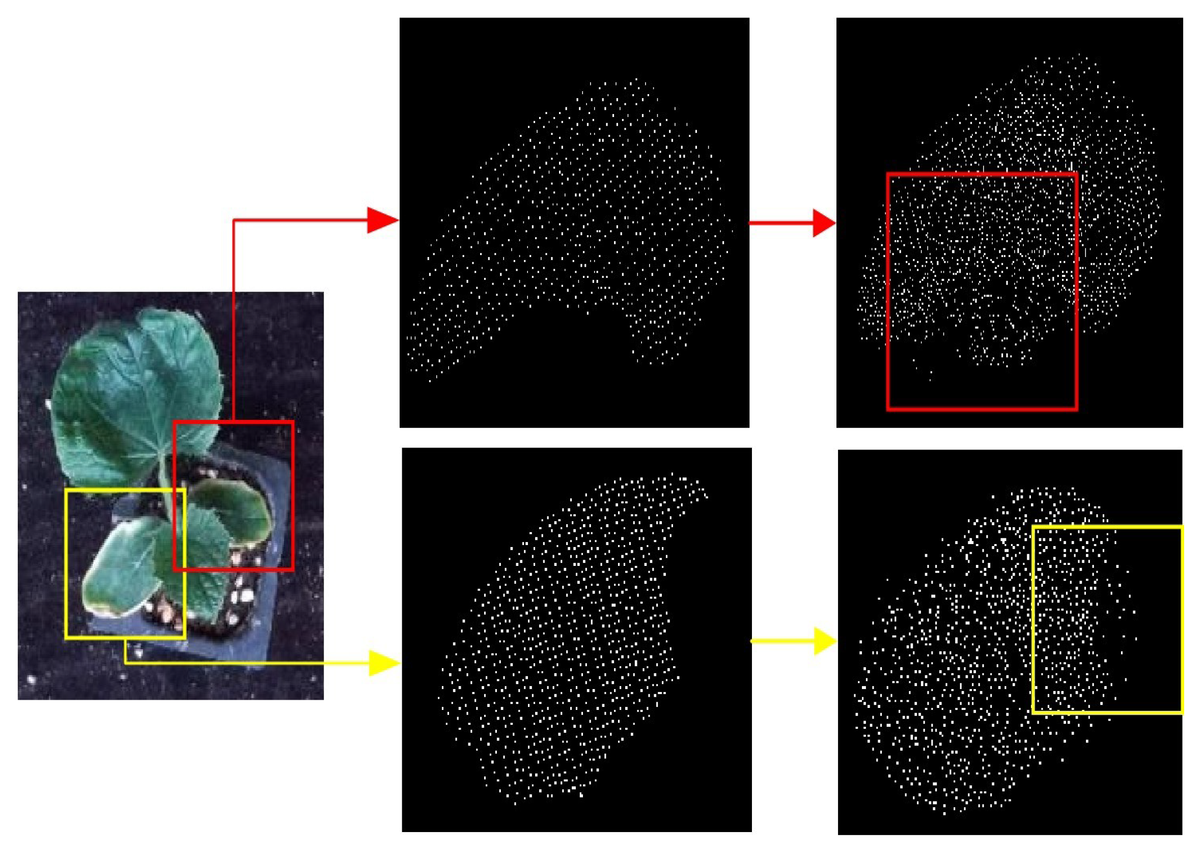 Plants 11 03342 g010 Plants 11 03342 g010
