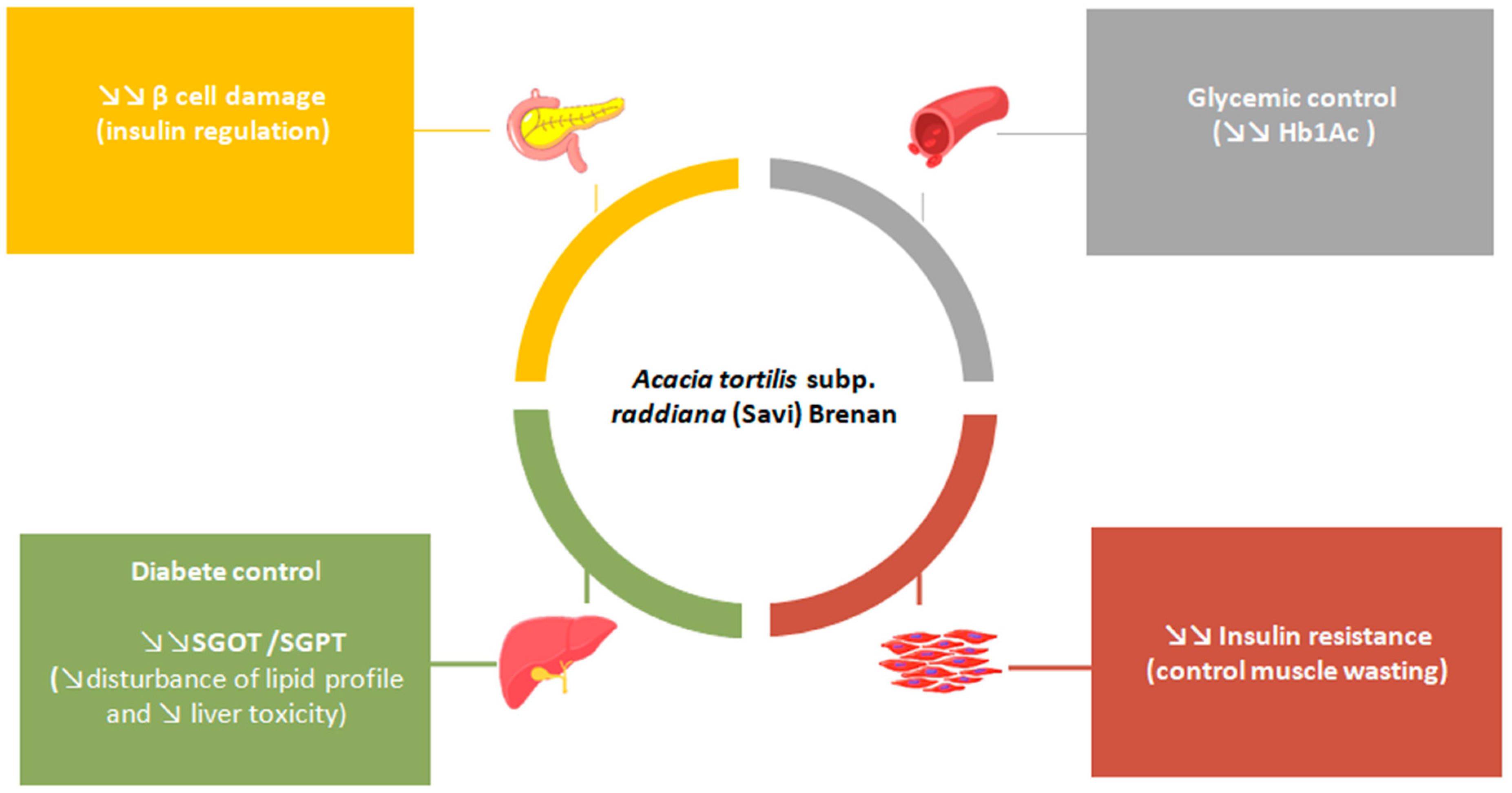 Plants 11 03348 g006