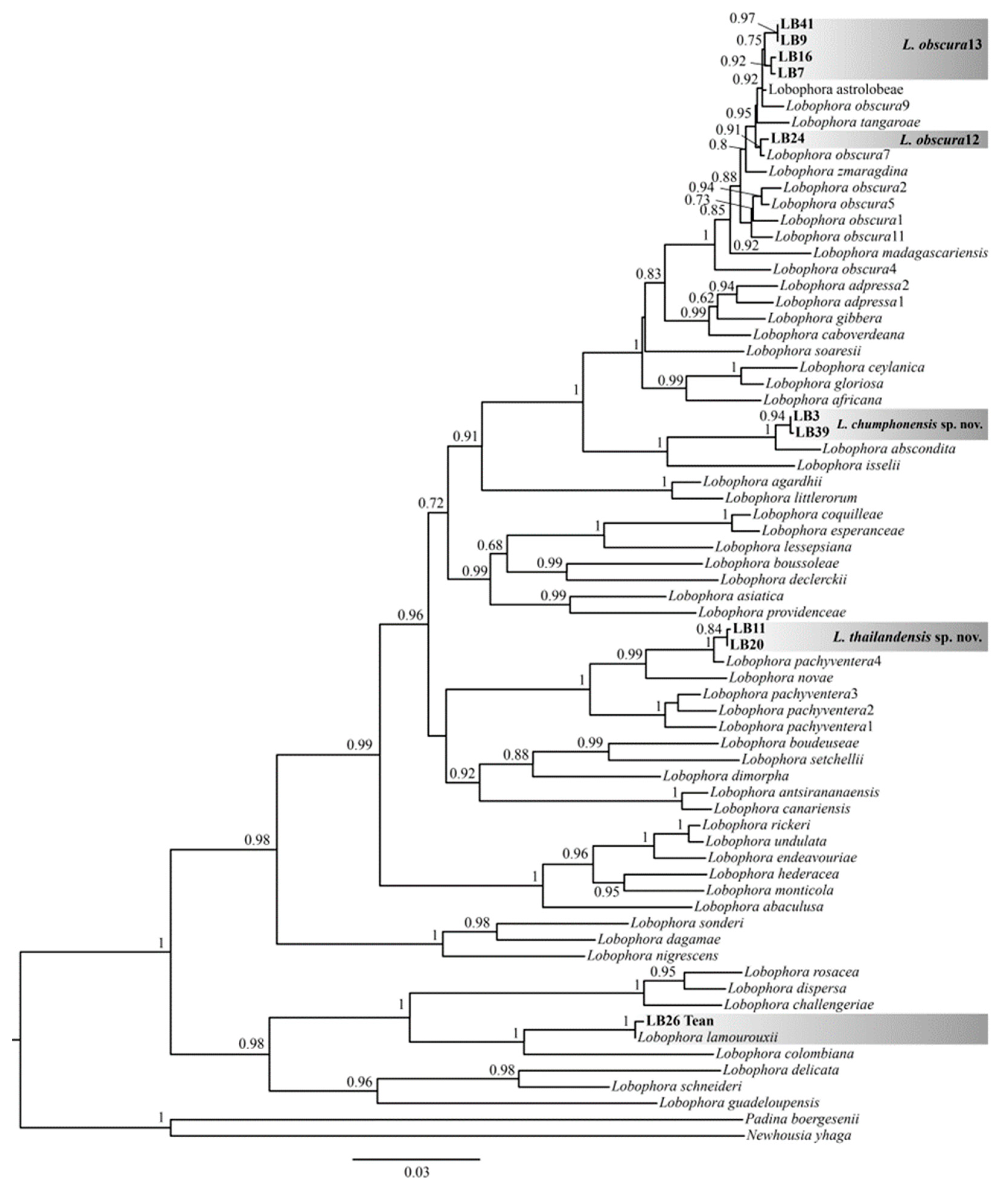 Plants 11 03349 g001 Plants 11 03349 g001