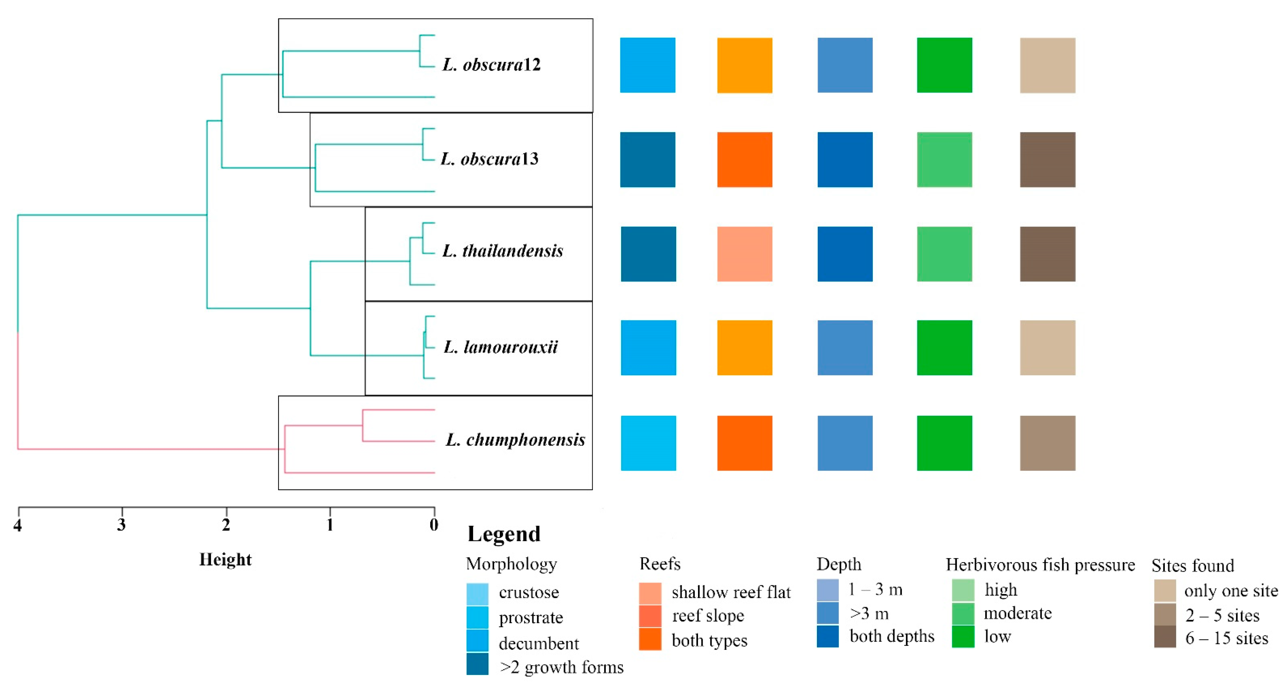 Plants 11 03349 g003 Plants 11 03349 g003