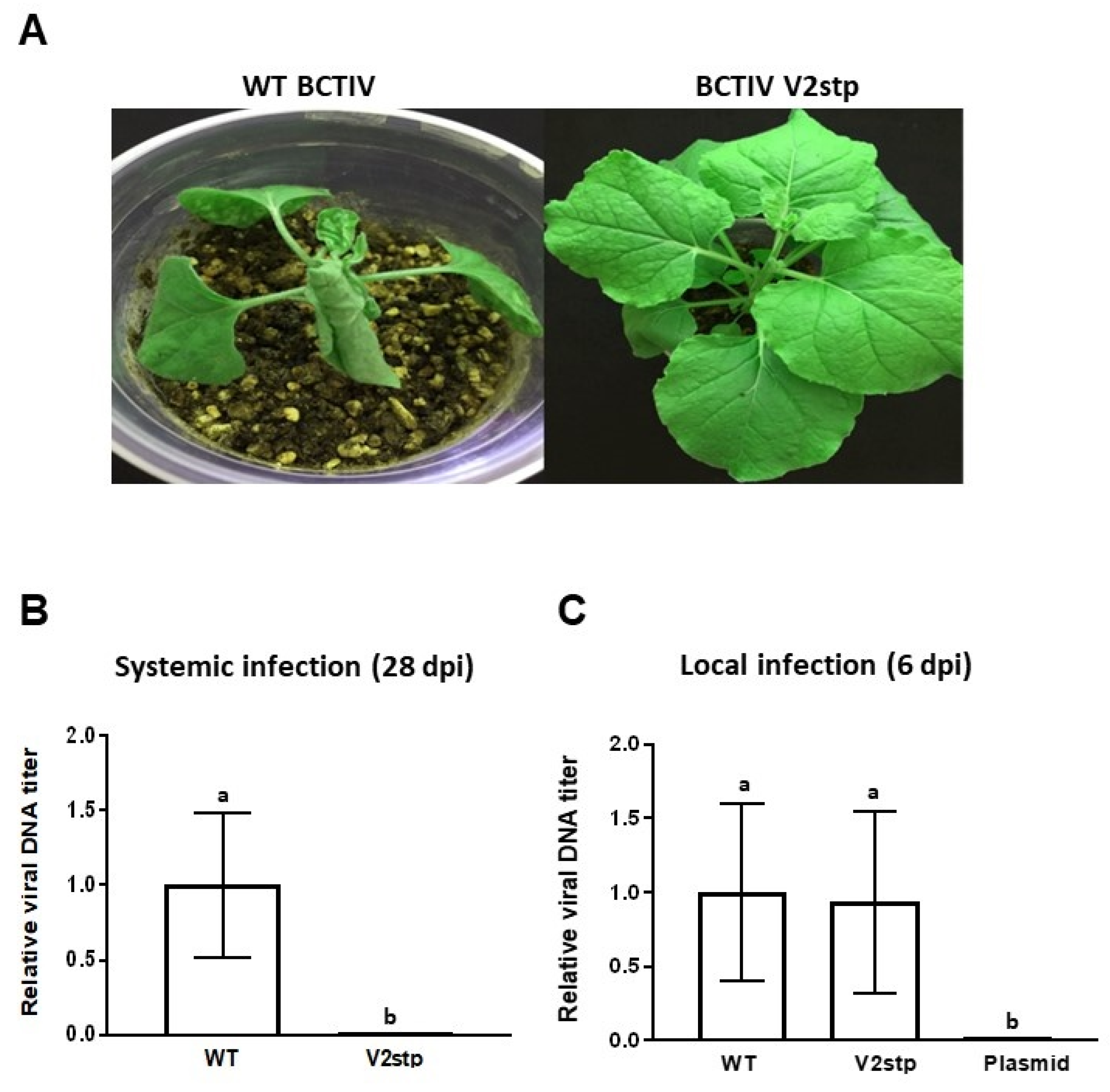 Plants 11 03351 g006 Plants 11 03351 g006