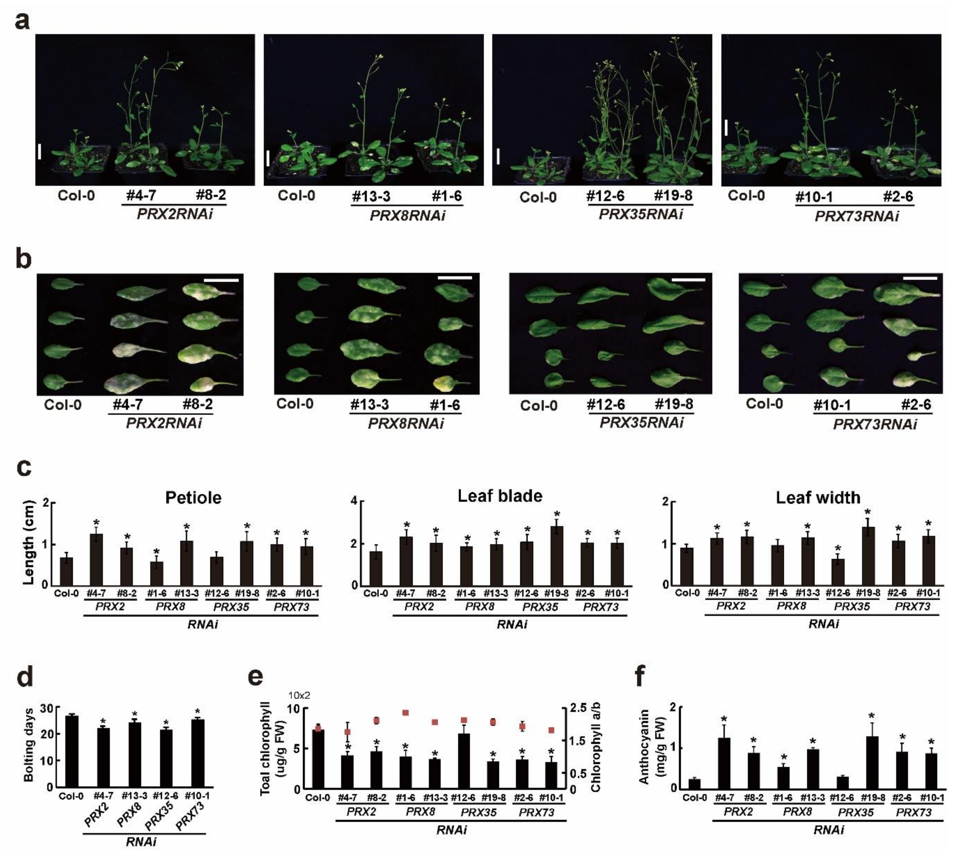 Plants 11 03353 g003 Plants 11 03353 g003