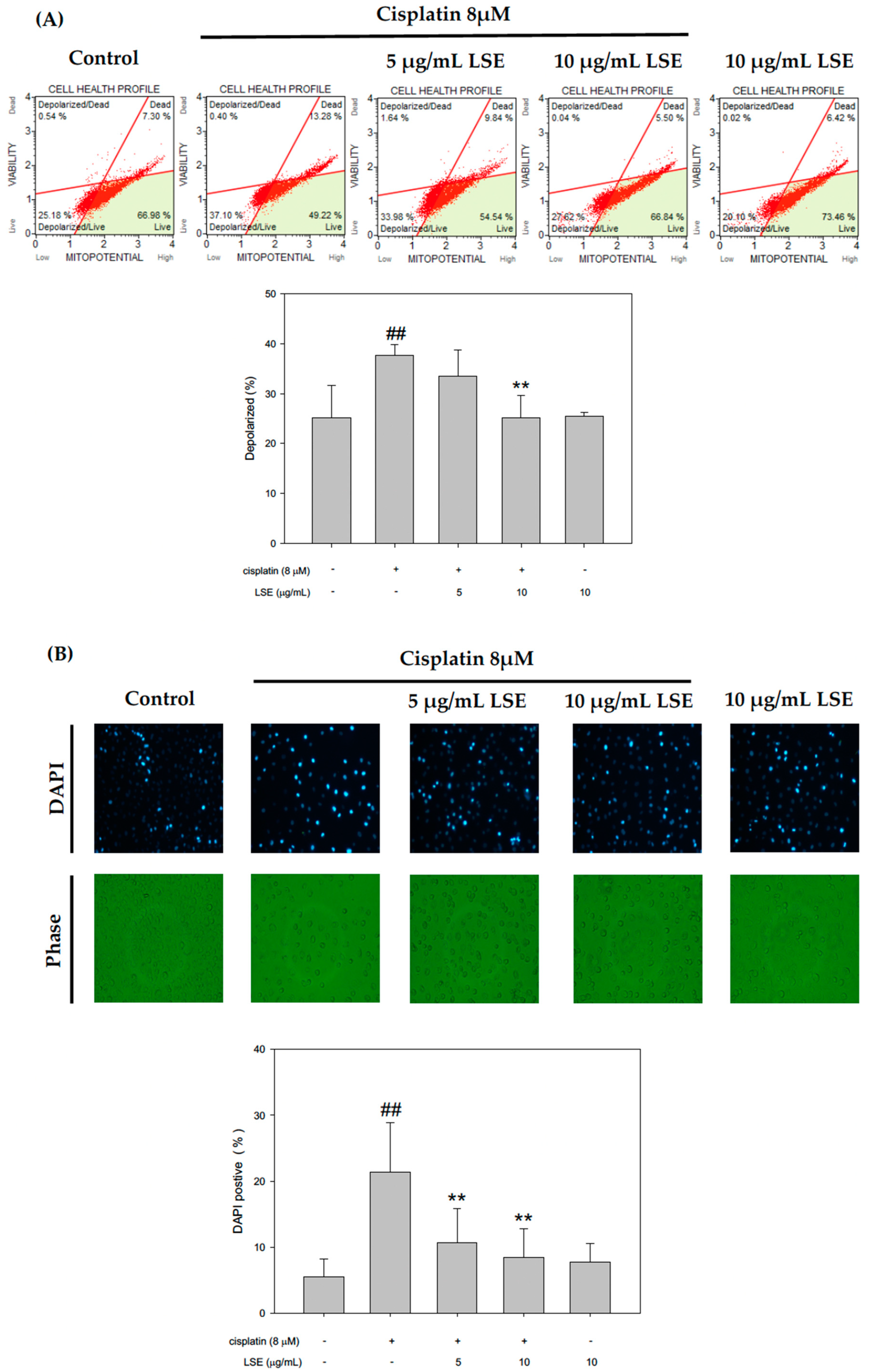 Plants 11 03357 g003a Plants 11 03357 g003a