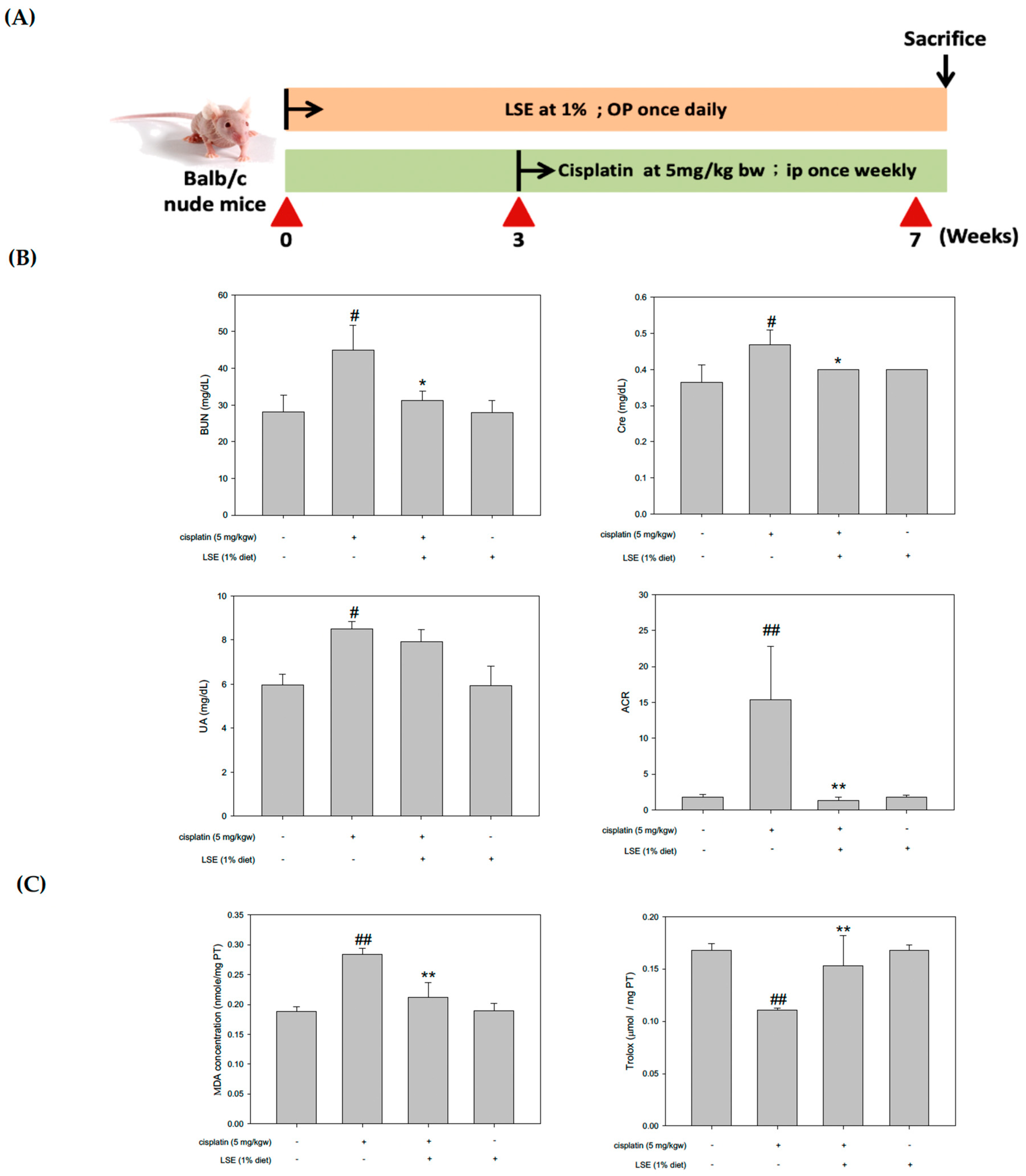 Plants 11 03357 g005 Plants 11 03357 g005