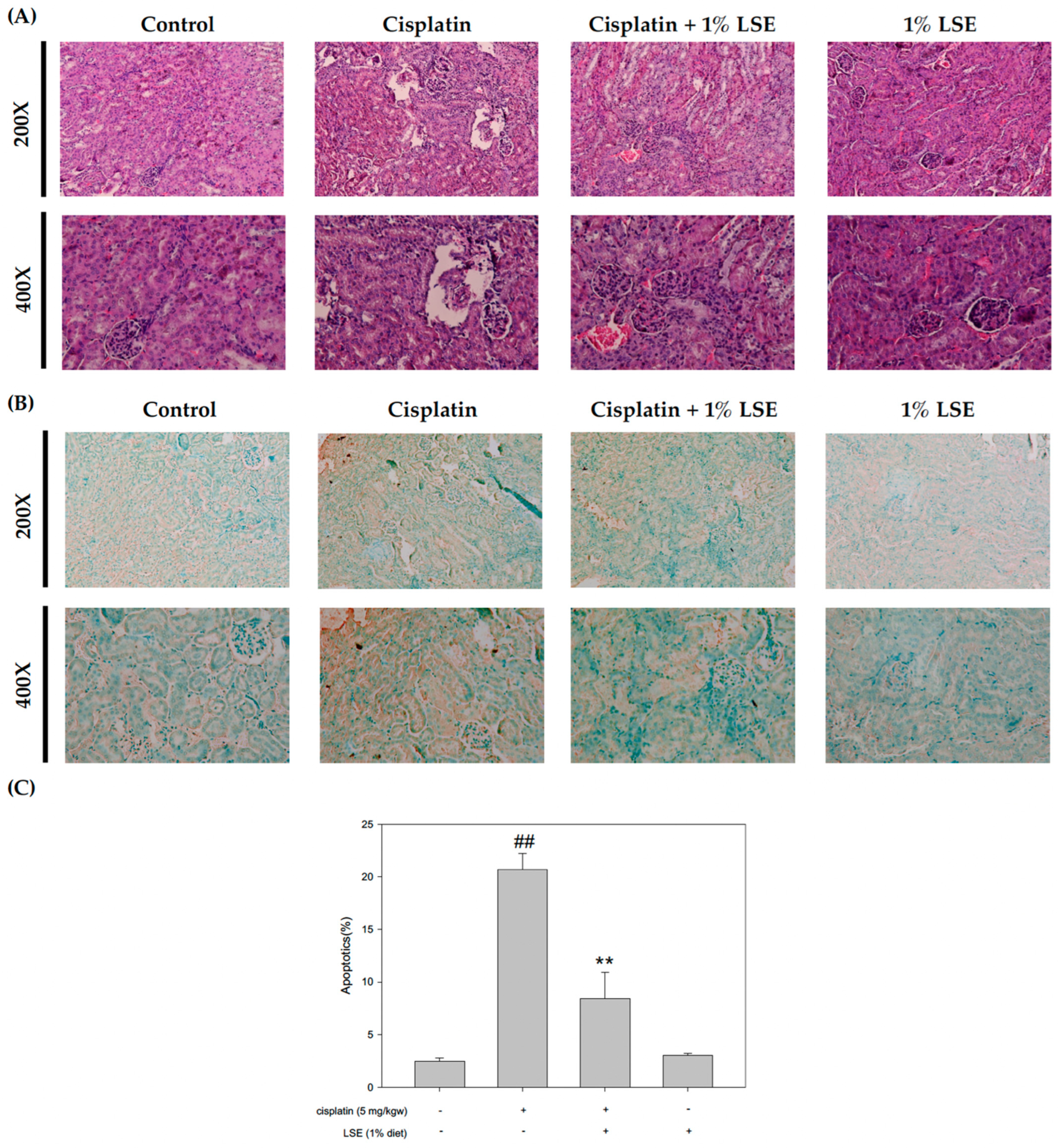Plants 11 03357 g006 Plants 11 03357 g006