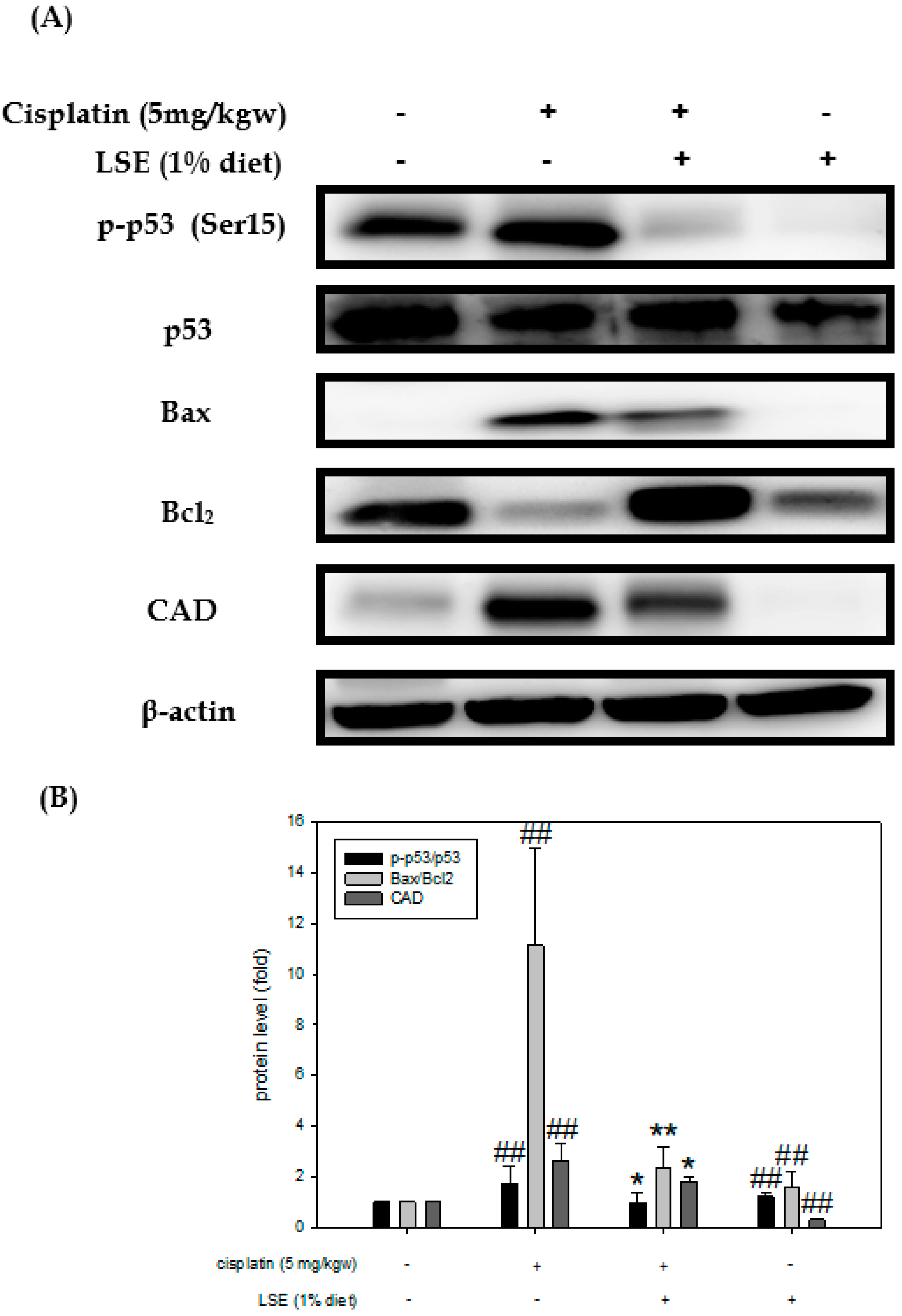Plants 11 03357 g007 Plants 11 03357 g007