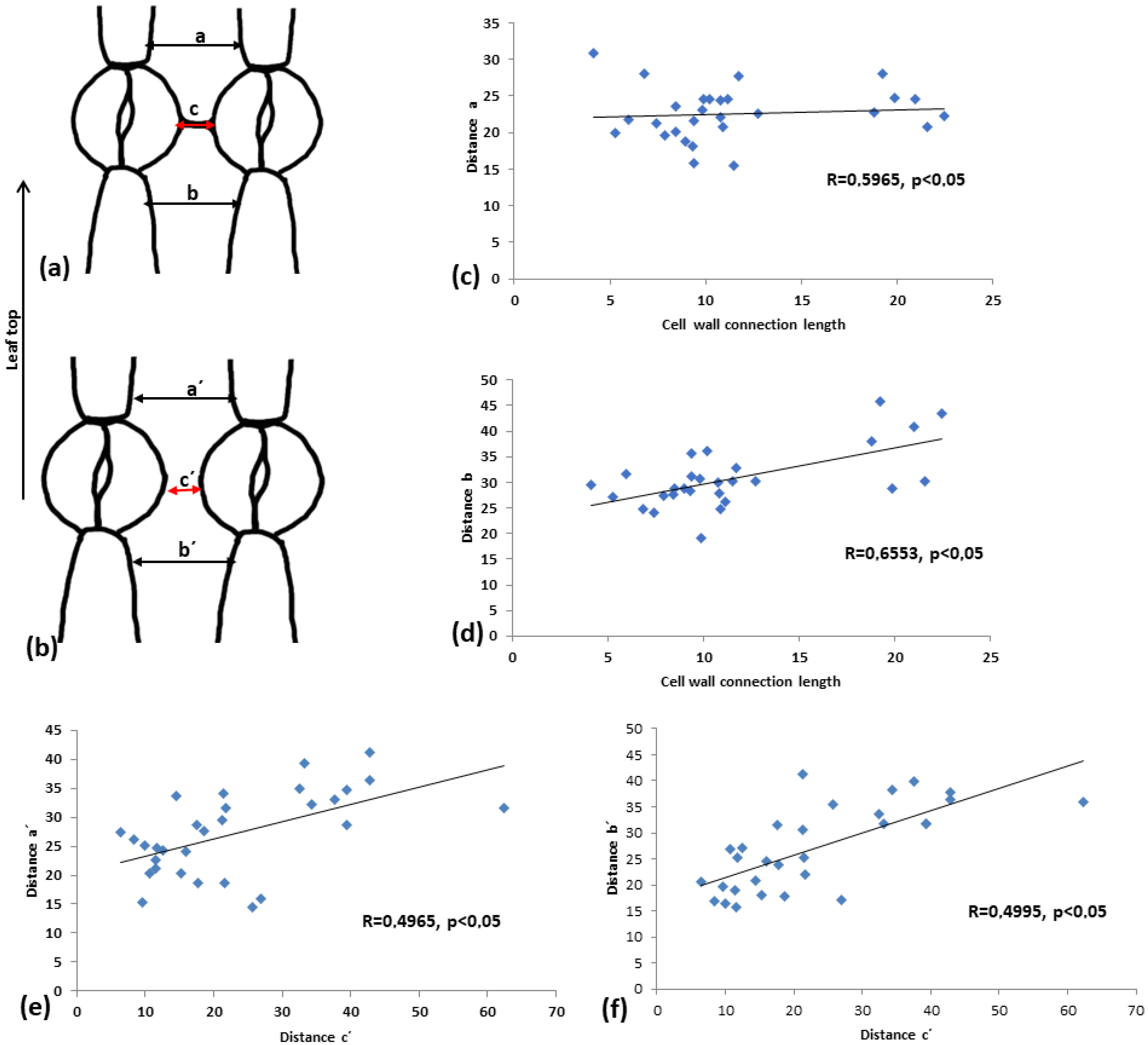 Plants 11 03377 g012 Plants 11 03377 g012