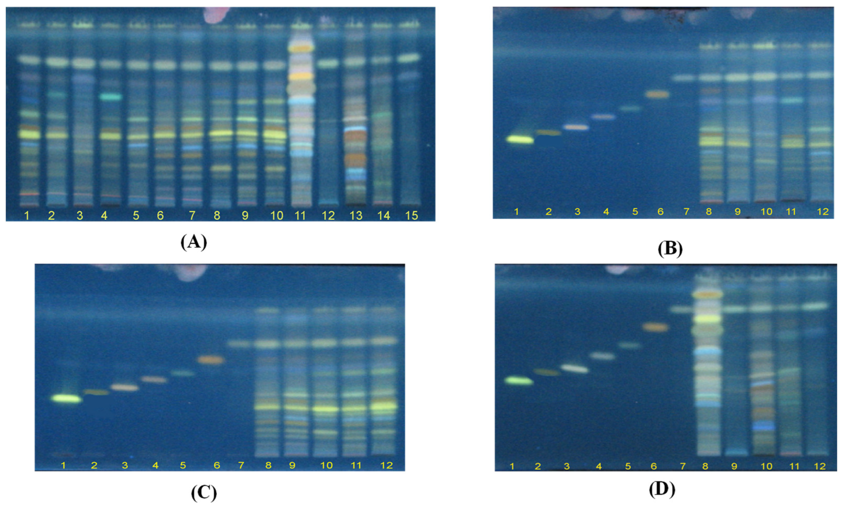 Plants 11 03397 g002 Plants 11 03397 g002