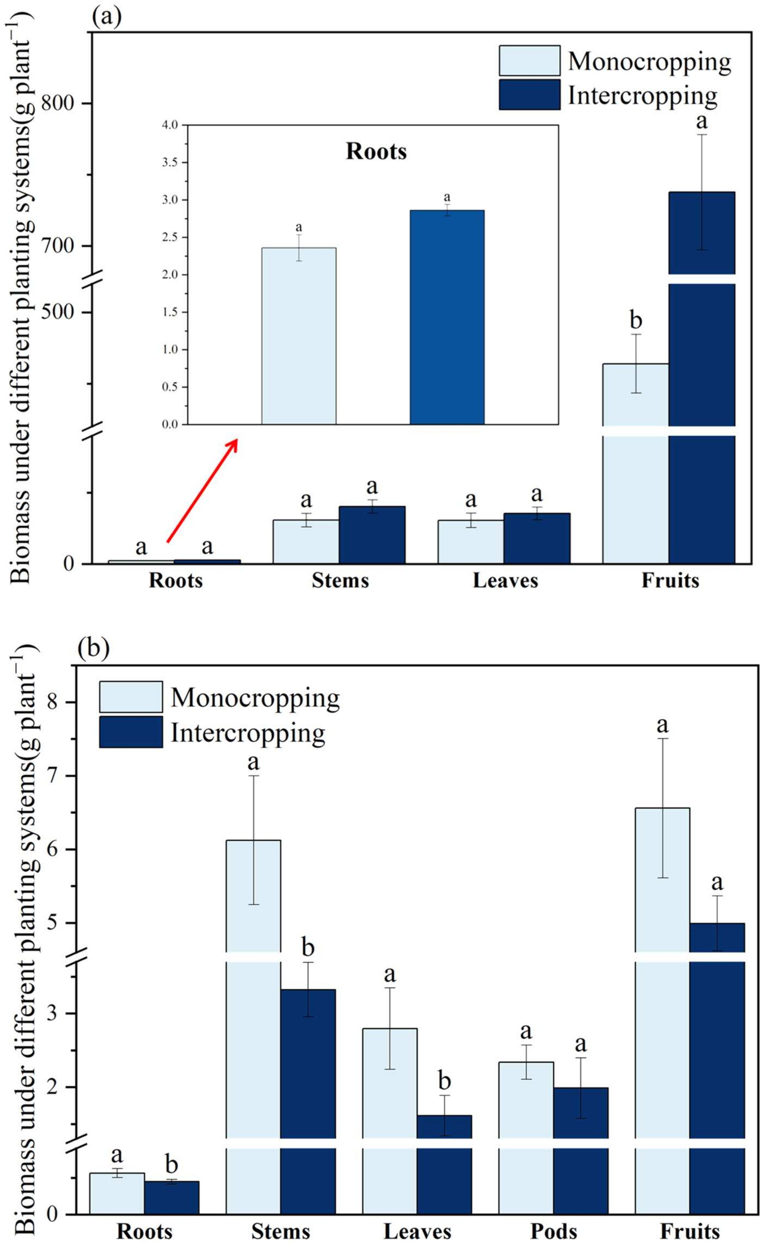 Plants 11 03398 g002