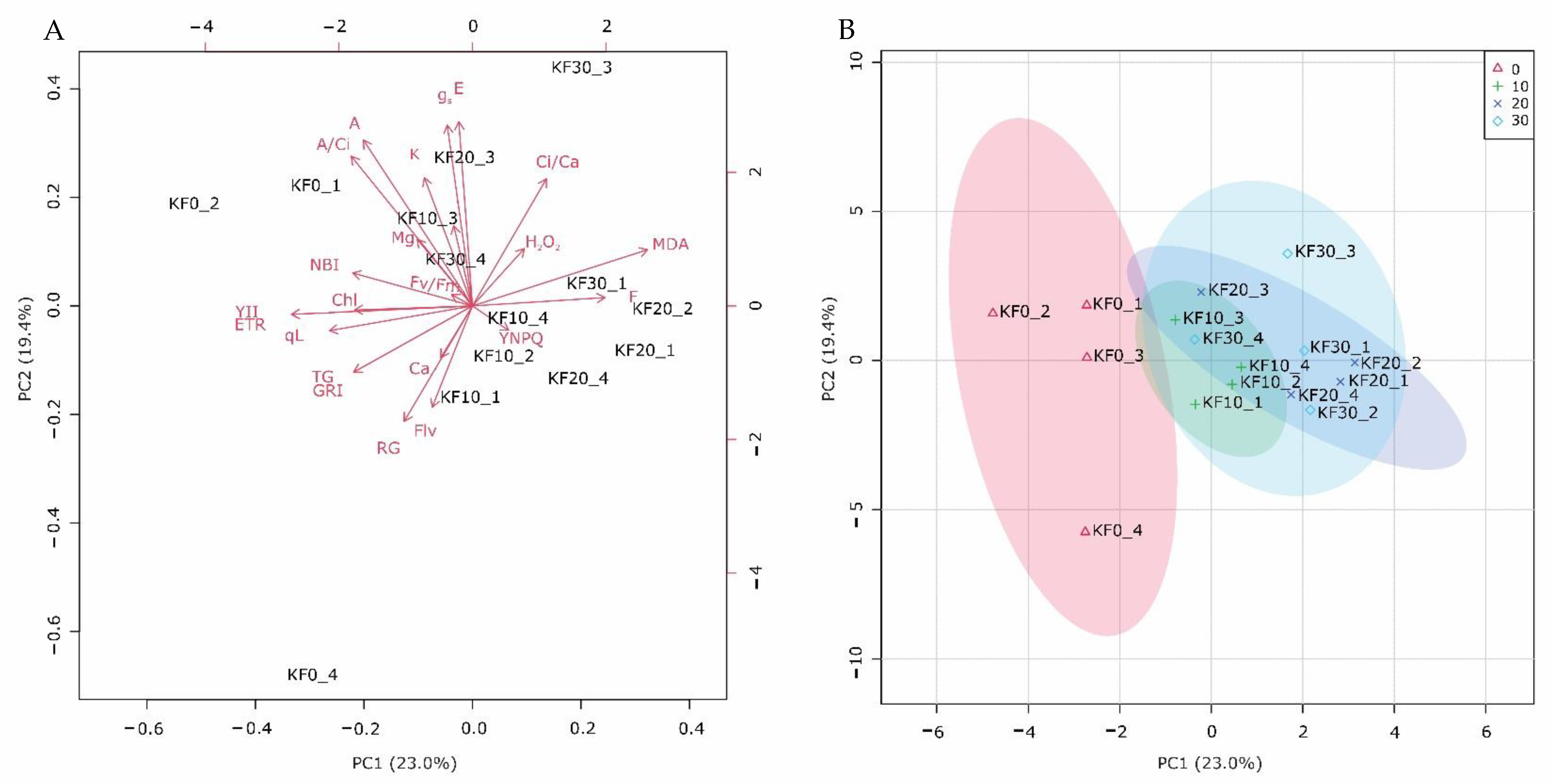 Plants 11 03406 g003