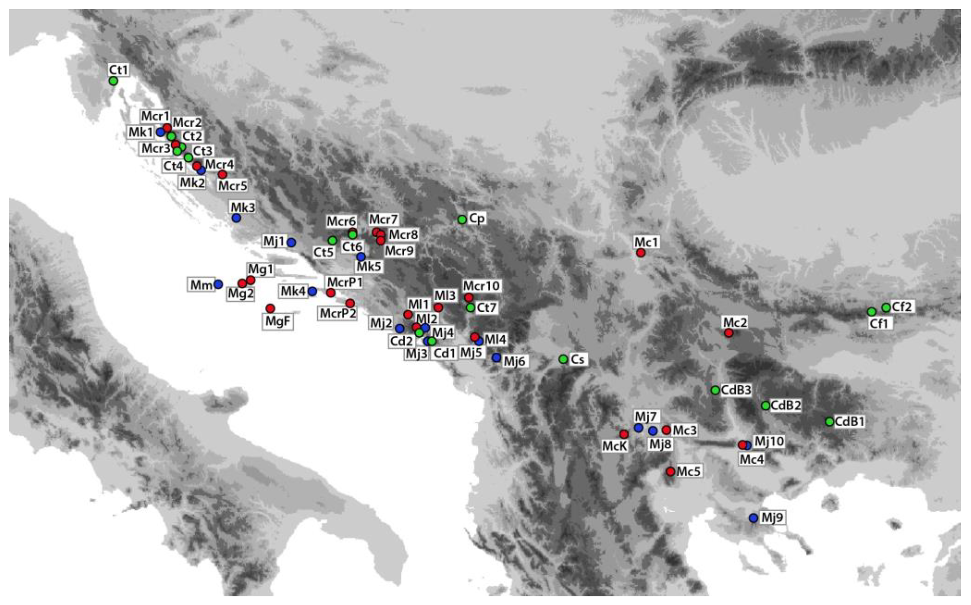 Plants | Free Full-Text | Phytochemicals and Their Correlation