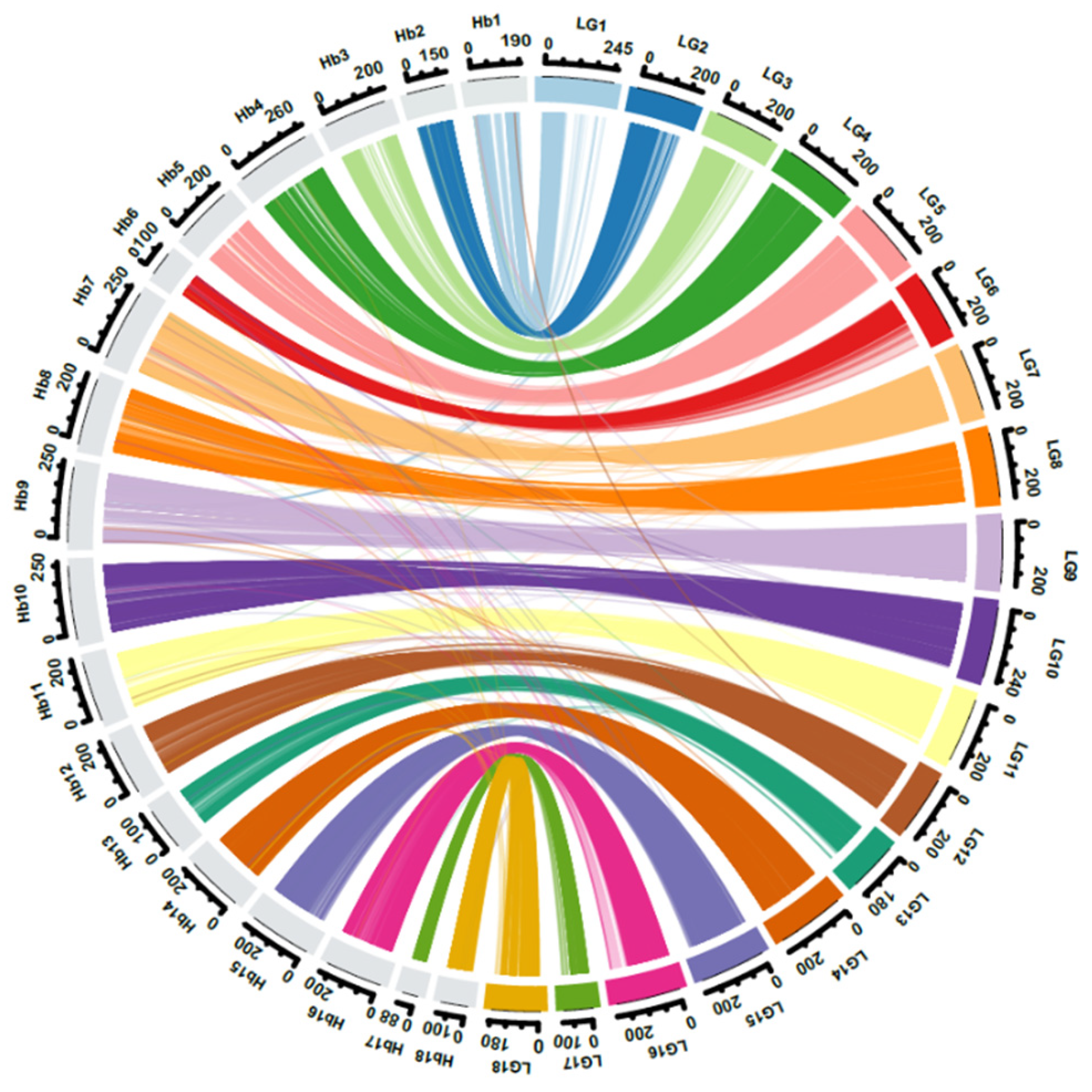 Plants 11 03418 g003 Plants 11 03418 g003