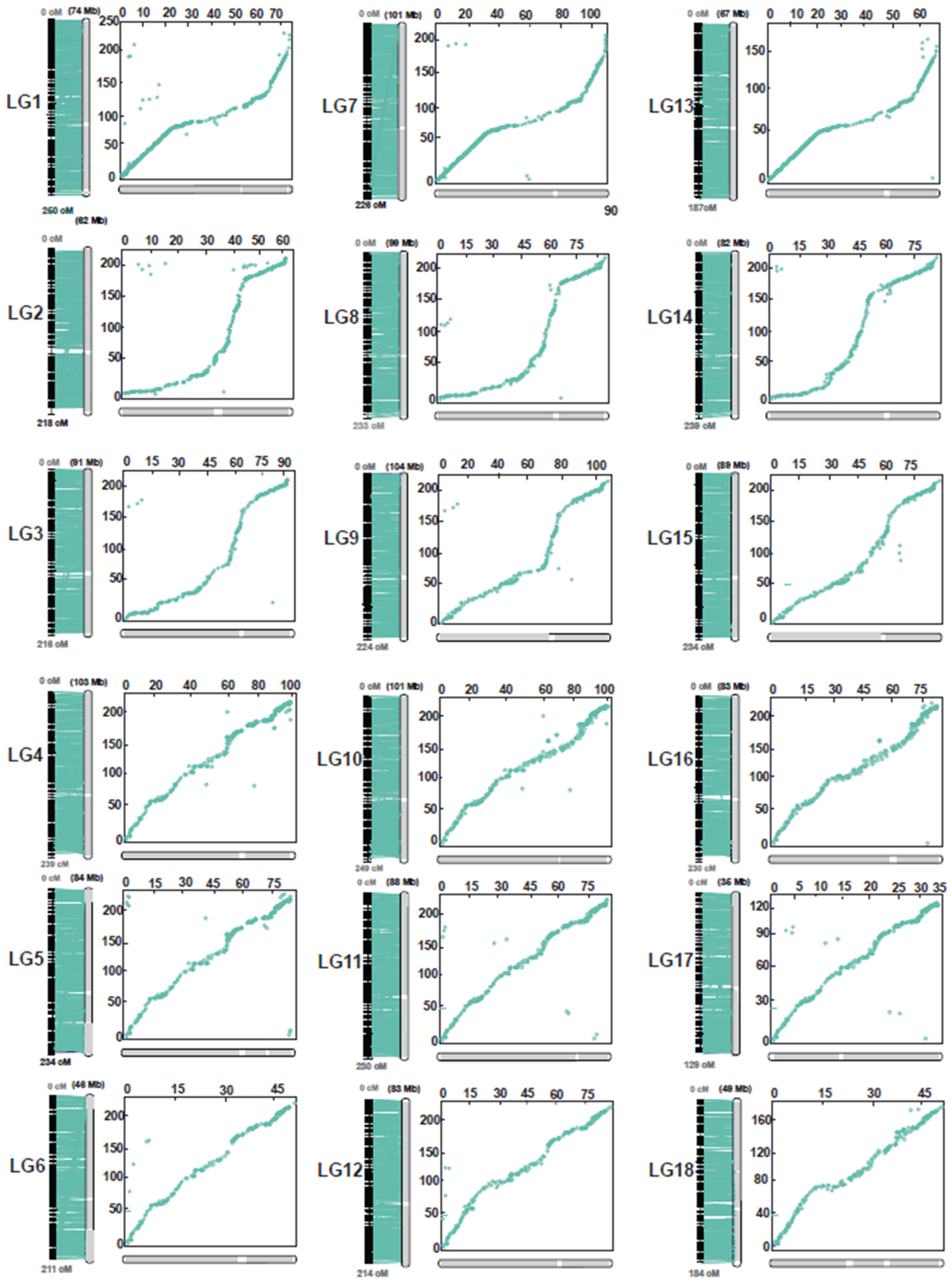 Plants 11 03418 g004 Plants 11 03418 g004