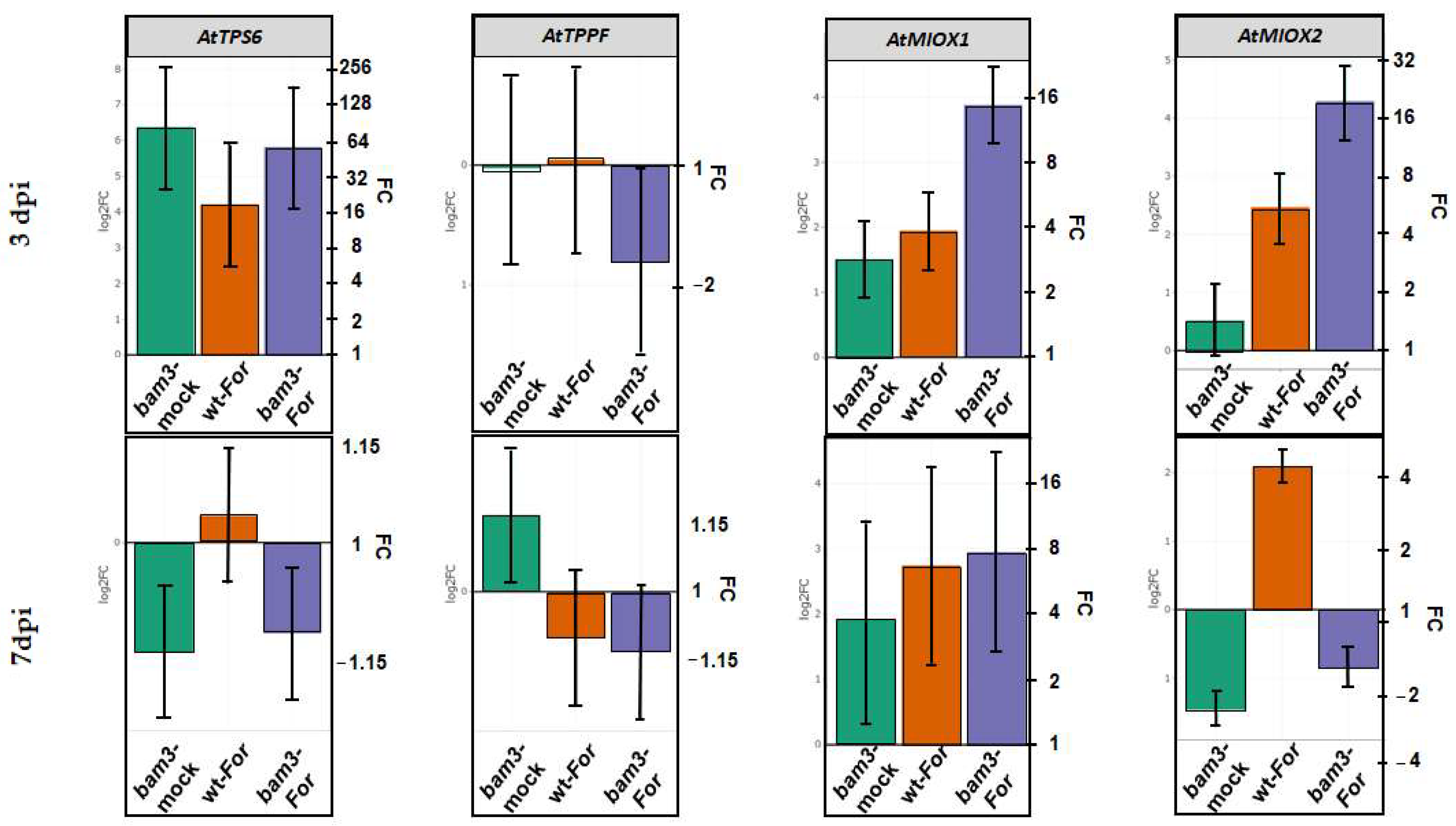 Plants 11 03457 g008