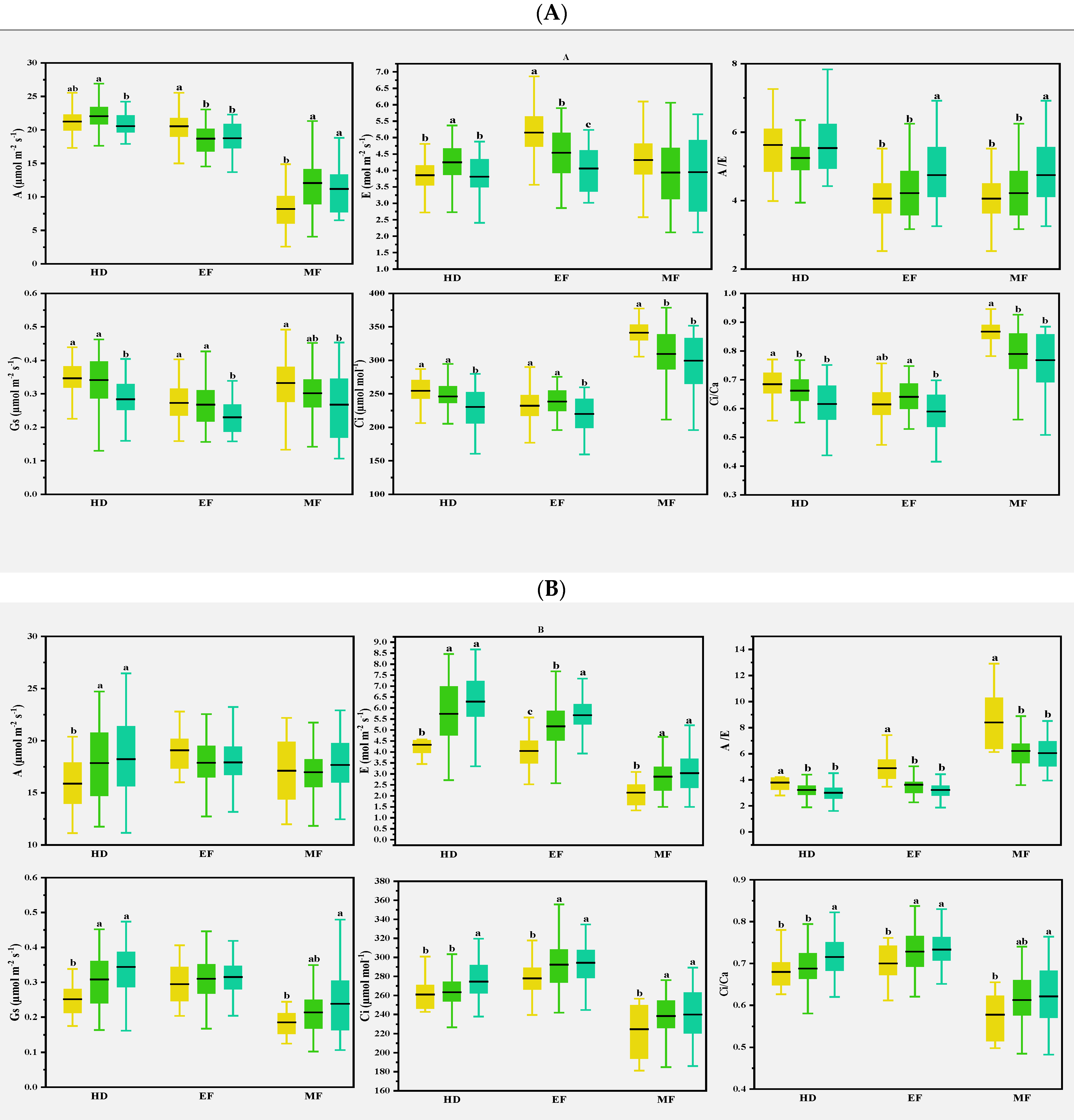 Plants 11 03471 g007a