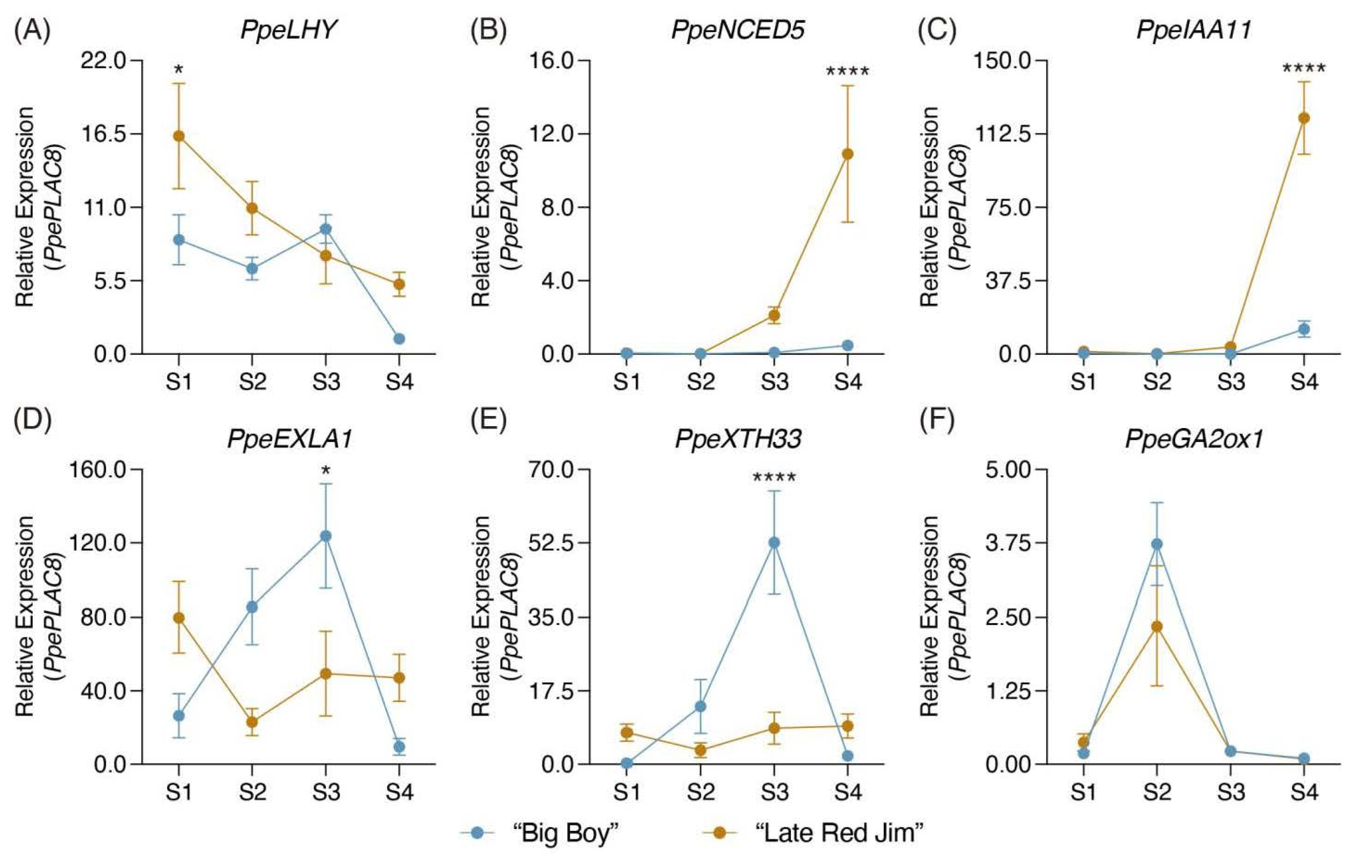 Plants 11 03473 g003 Plants 11 03473 g003