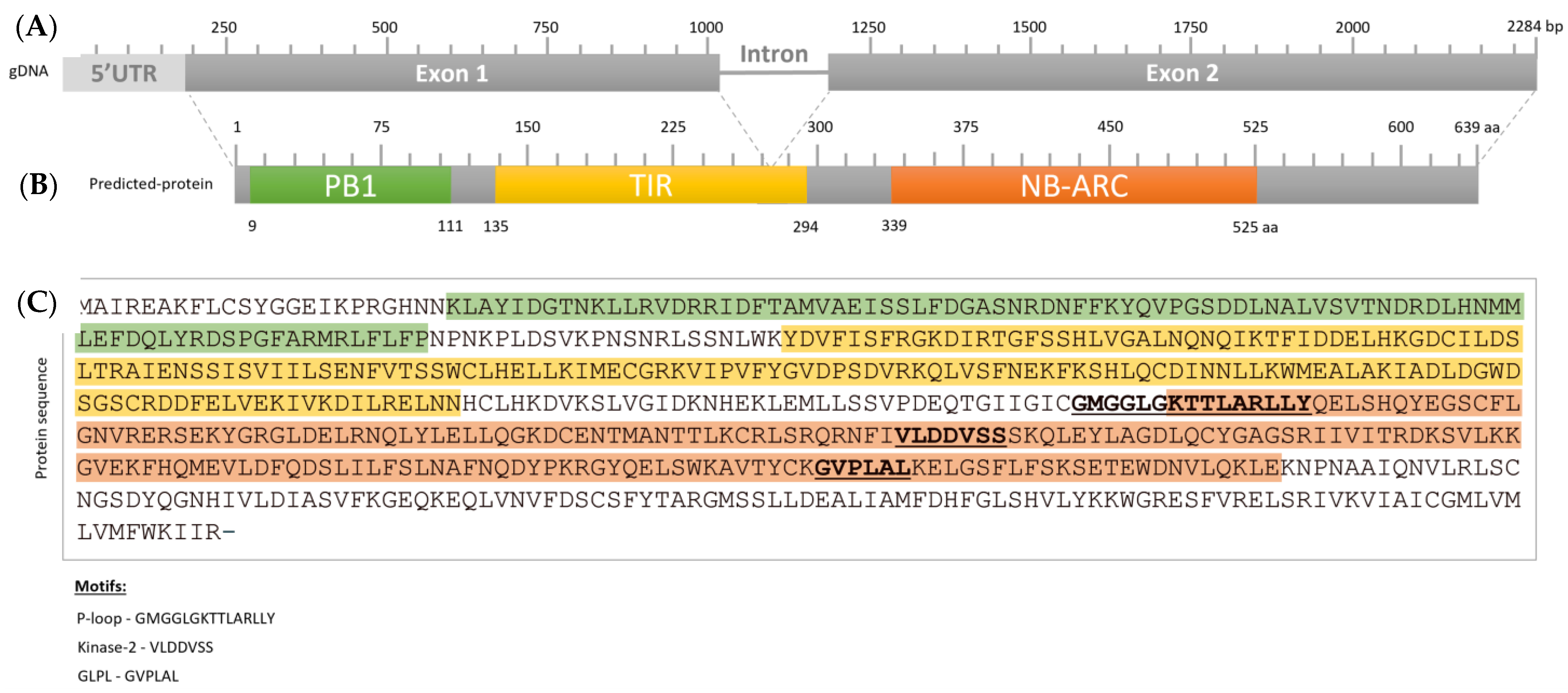 Plants 11 03483 g005 Plants 11 03483 g005