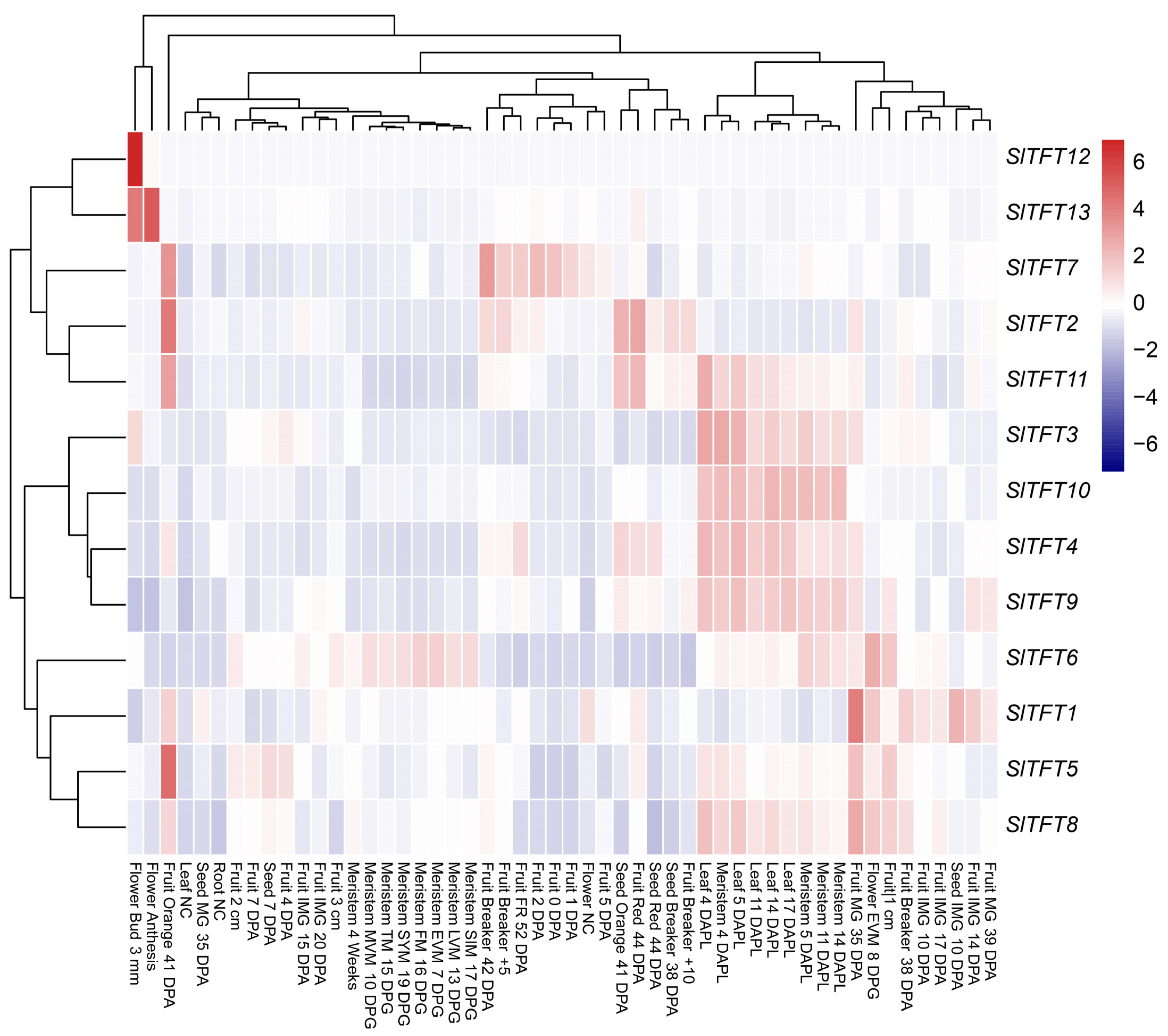 Plants 11 03491 g007 Plants 11 03491 g007
